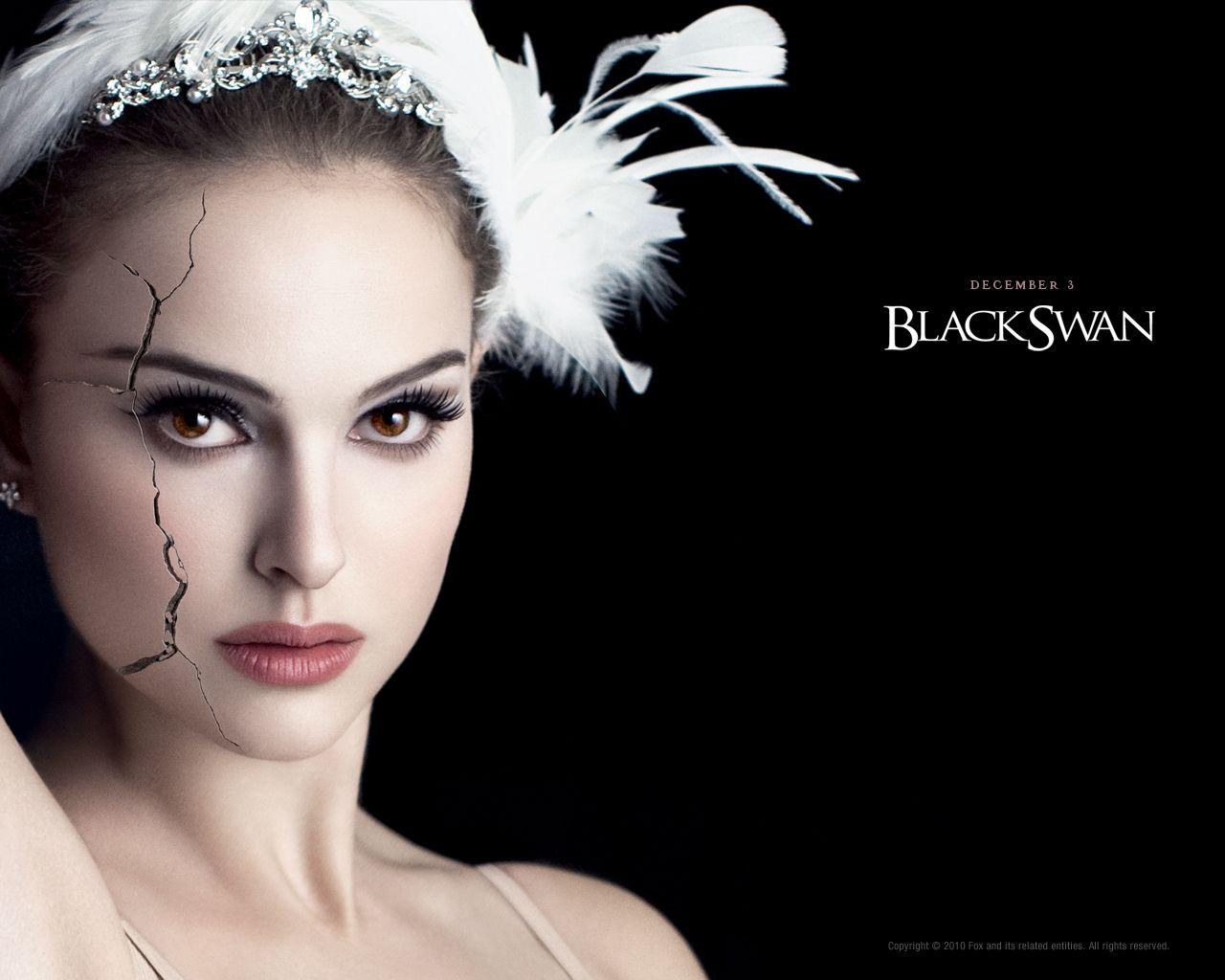 Black Swan Wallpapers - Top Free Black Swan Backgrounds - WallpaperAccess