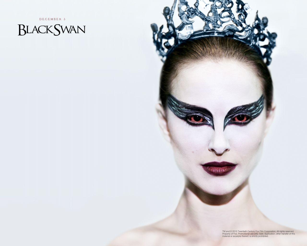 1280x1024 Black Swan Wallpaper and Background Imagex1024