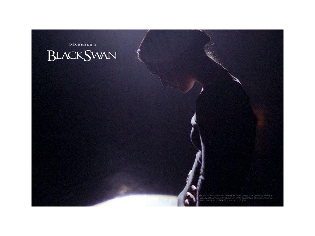 1024x768 Black Swan desktop PC and Mac wallpaper