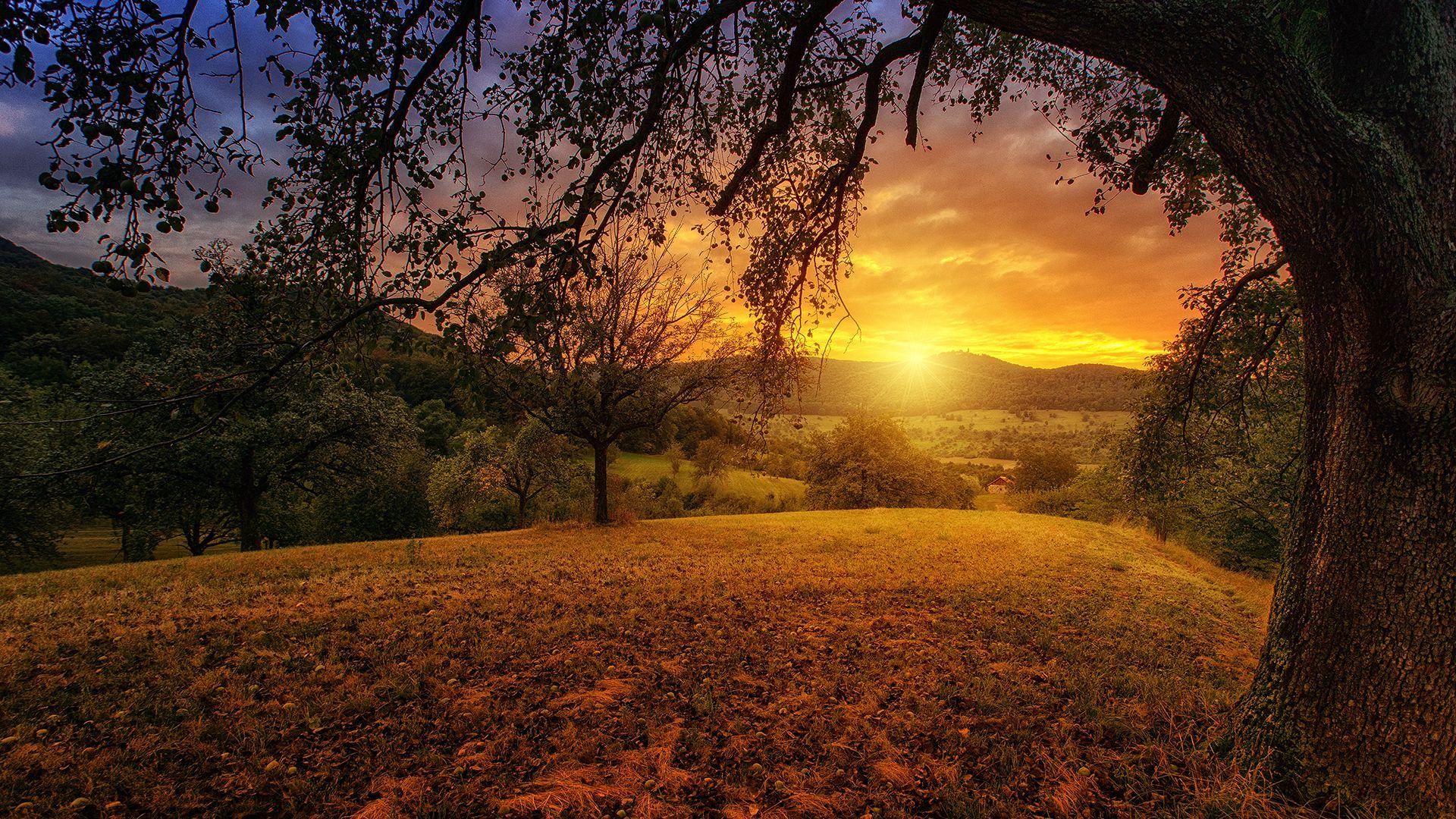 1920x1080 4K Beautiful Morning 4K Wallpaper HD