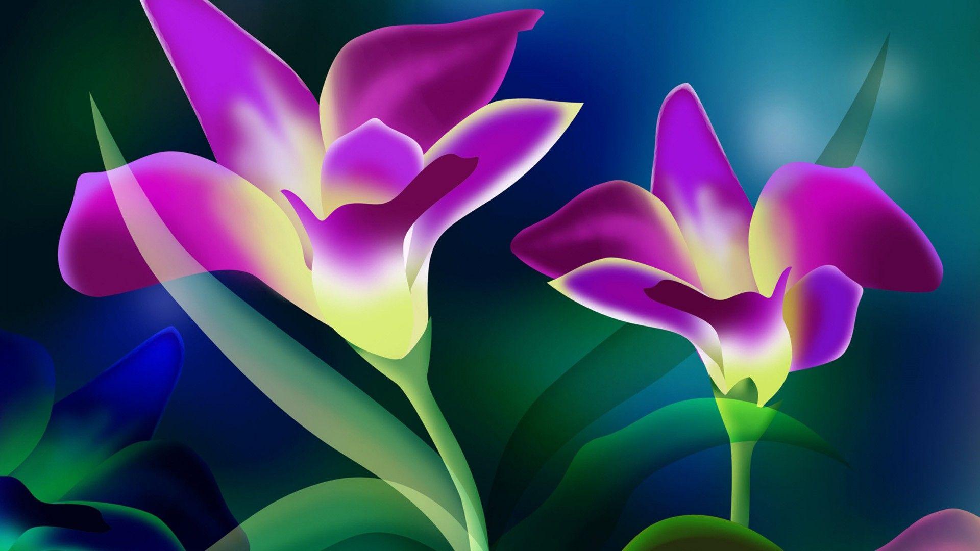 1920x1080 Beautiful Flower Wallpaper HD Free Download 1704