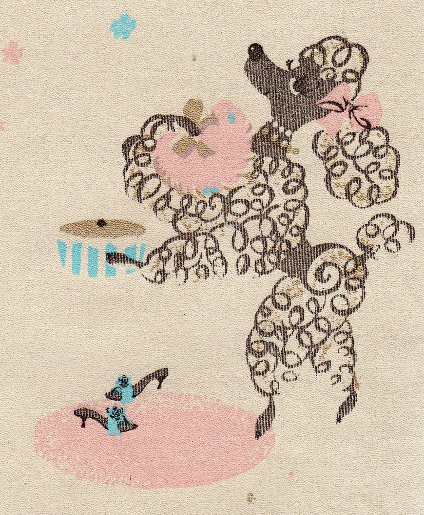 Poodle Wallpapers - Top Free Poodle Backgrounds - WallpaperAccess