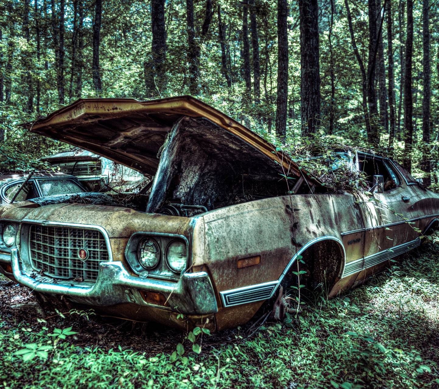 1442x1280 Ford Gran Torino wallpaper