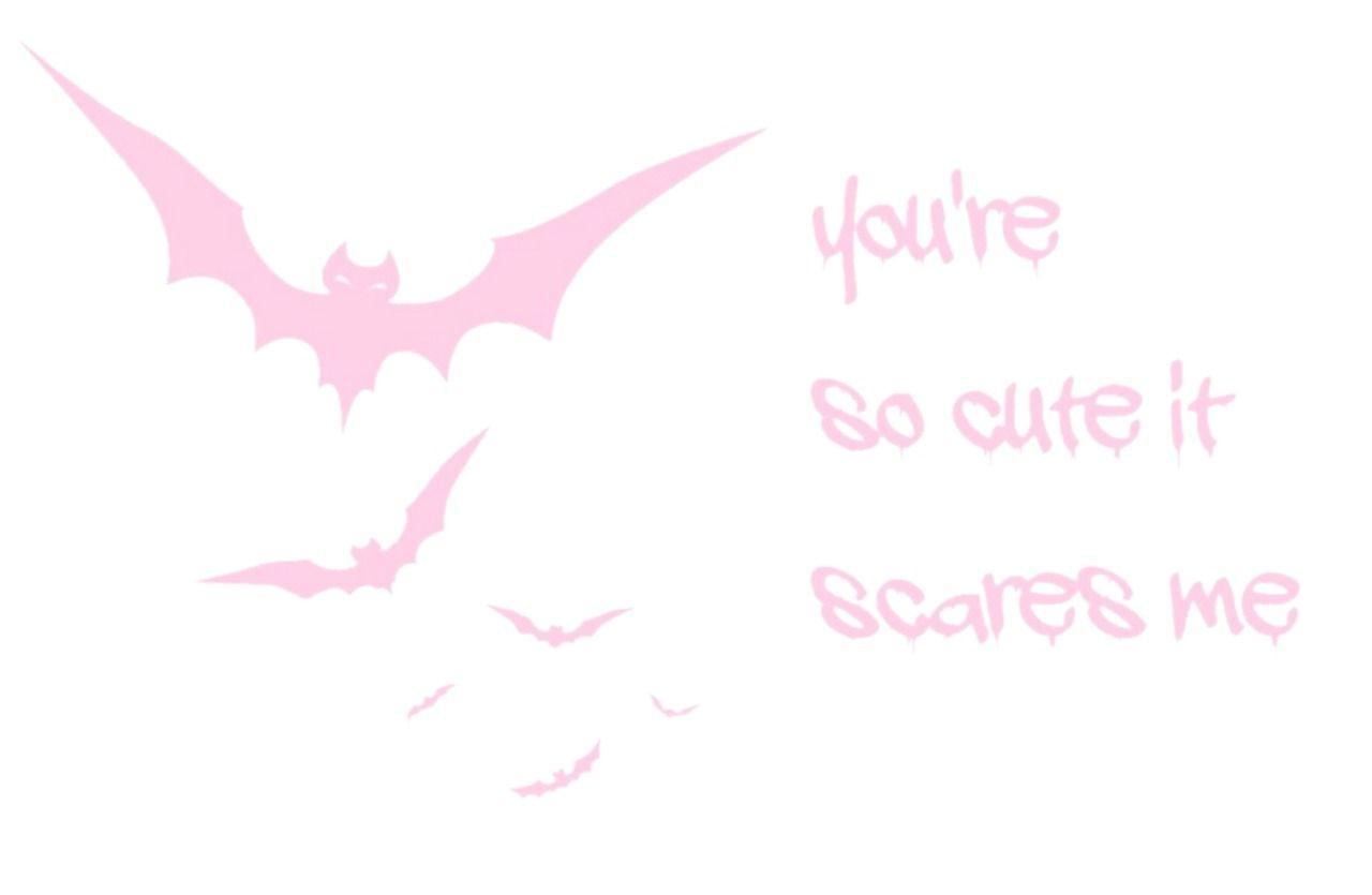 1280x835 Welcome †