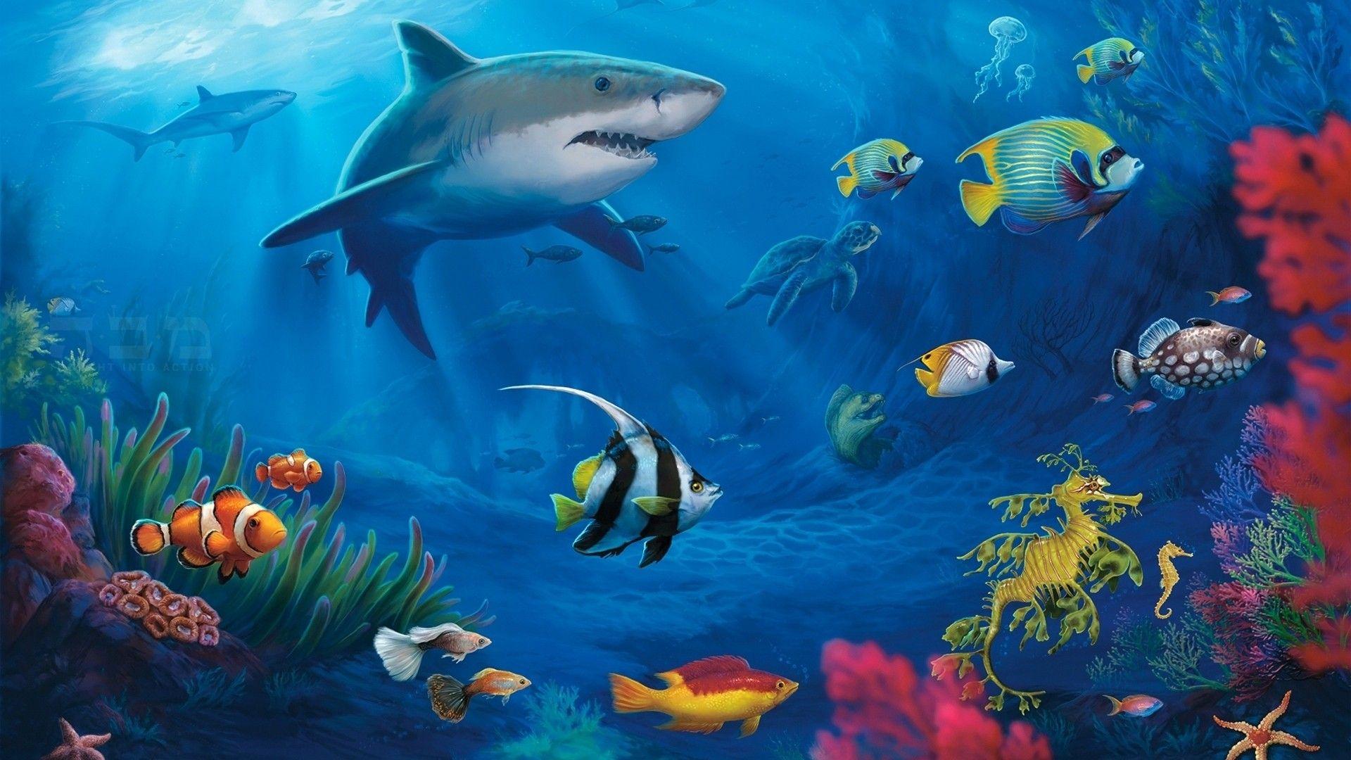 1920x1080 nature, fish, live, sharks, underwater, sealife wallpaper