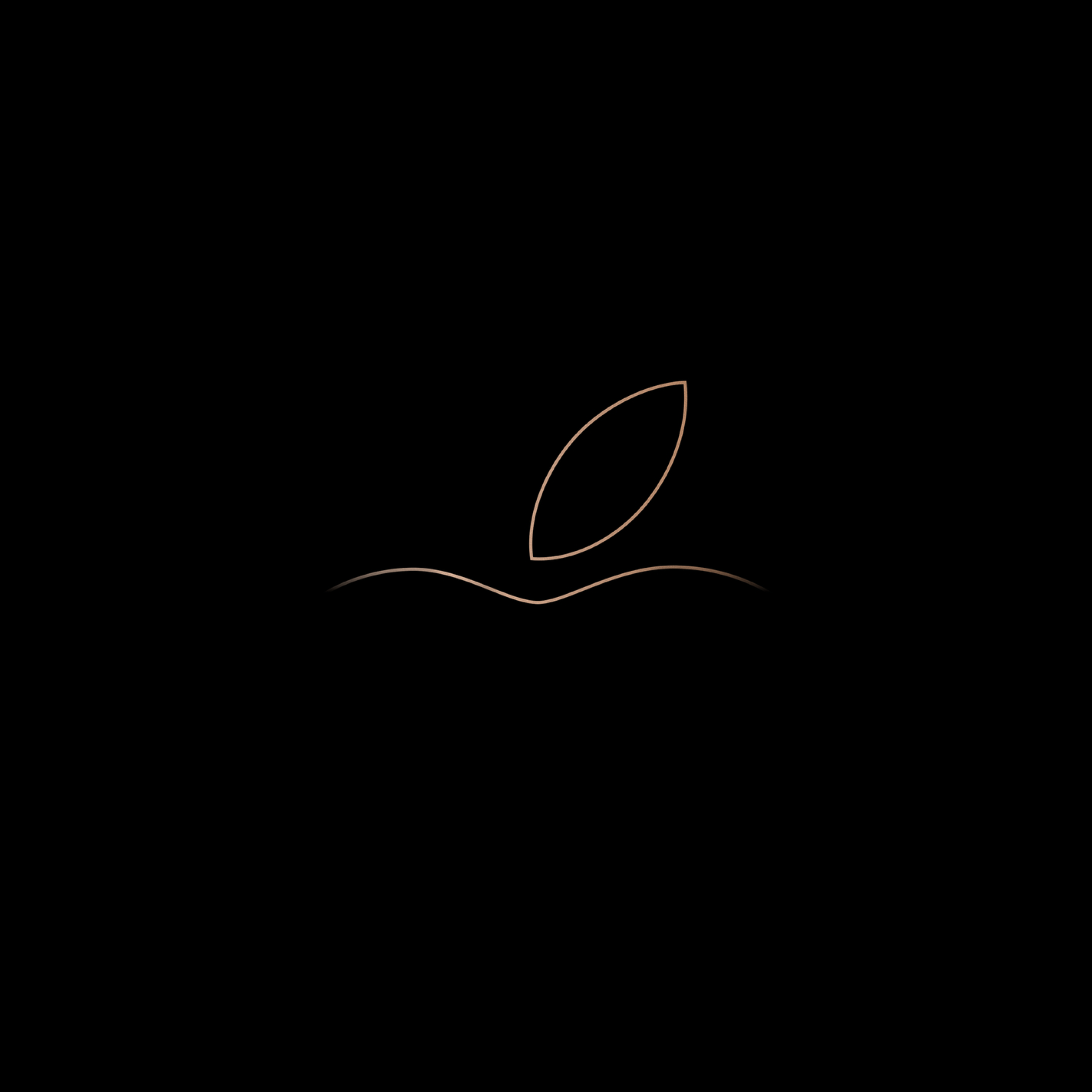 Black Apple Logo Wallpapers Top Free Black Apple Logo Backgrounds