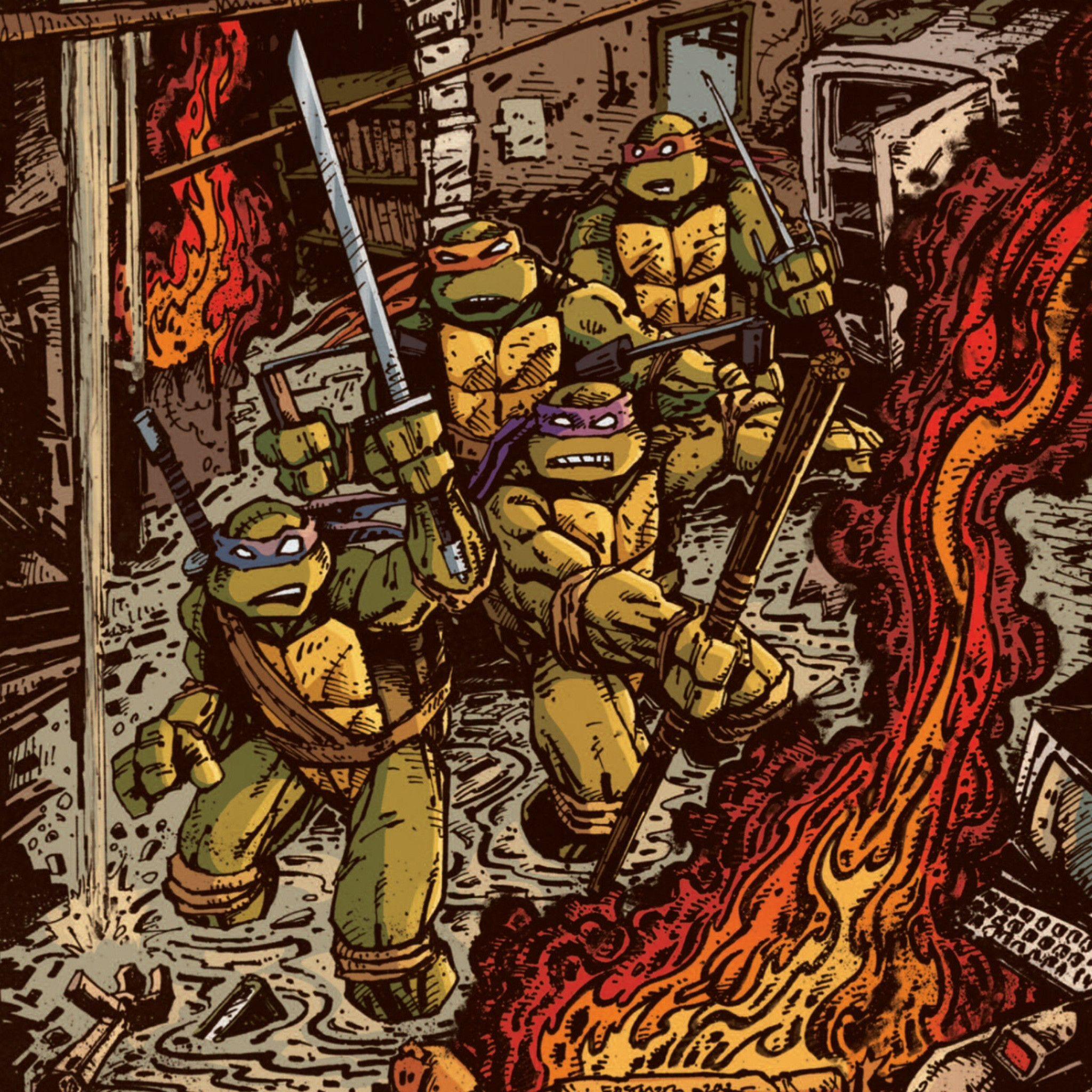 2048x2048 Teenage Mutant Ninja Turtles Wallpaper