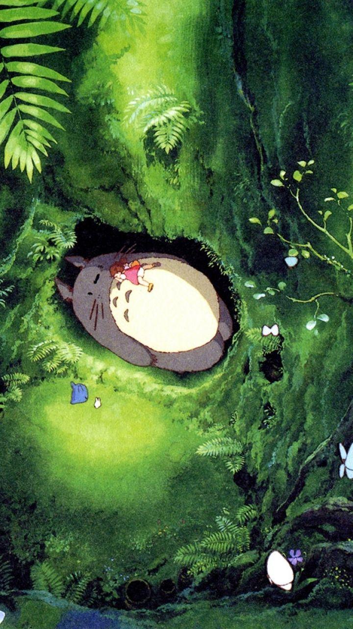 Totoro Phone Wallpapers - Top Free Totoro Phone Backgrounds