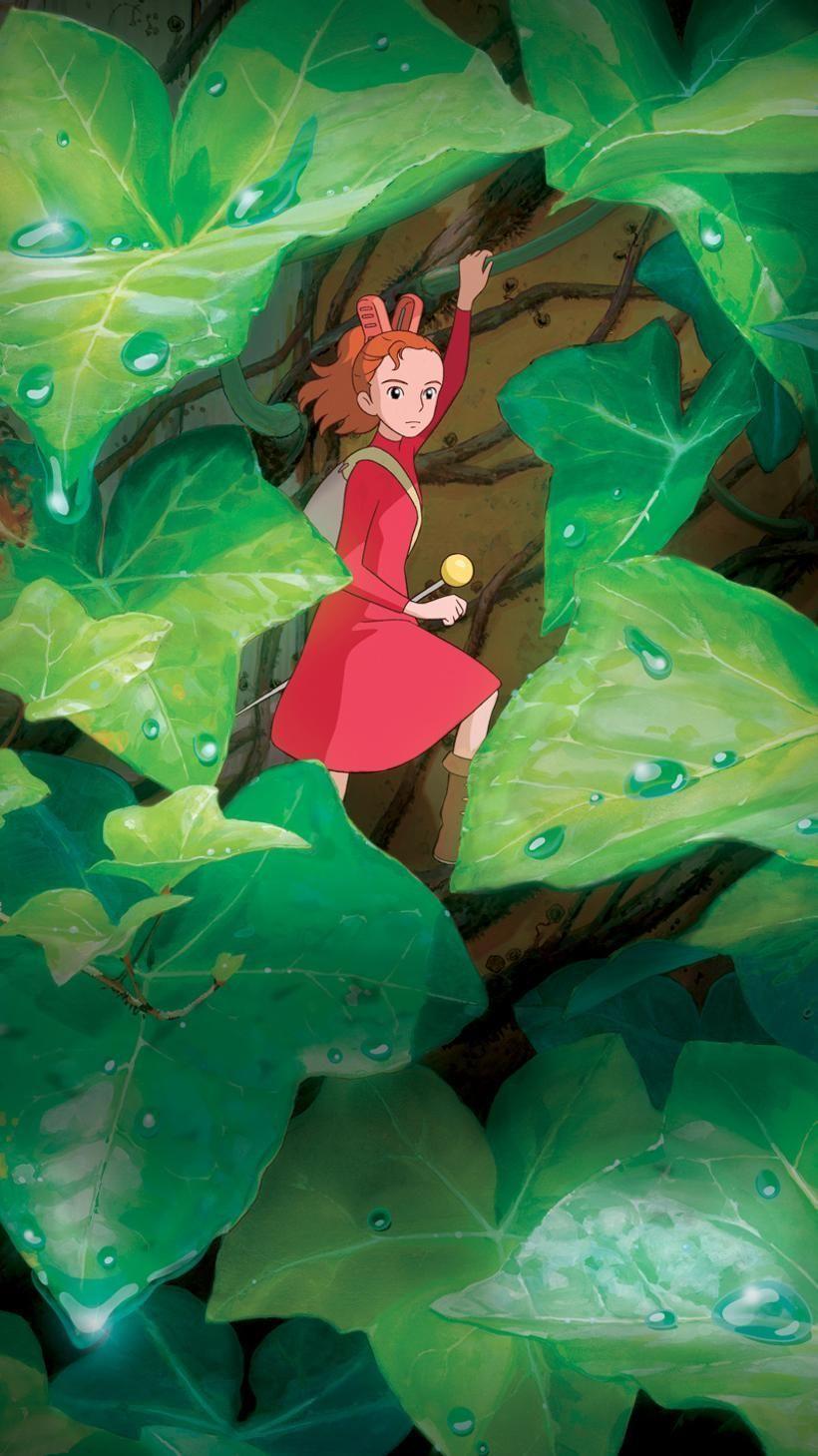 820x1459 My Neighbor Totoro Phone Wallpaper Moviemania Neighbor