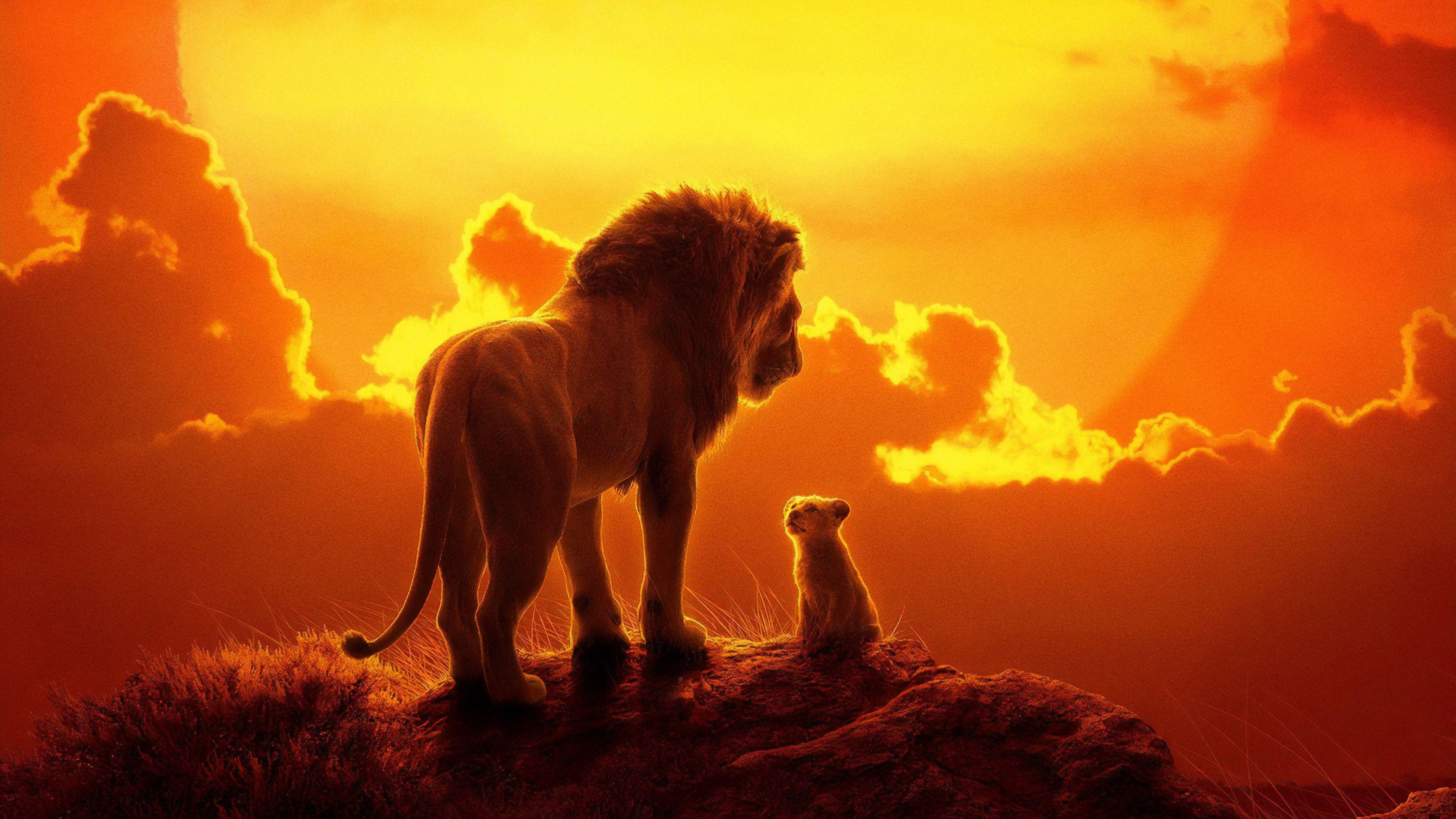 3375x1899 the lion king, #lion, movies, #movies, #hd, k
