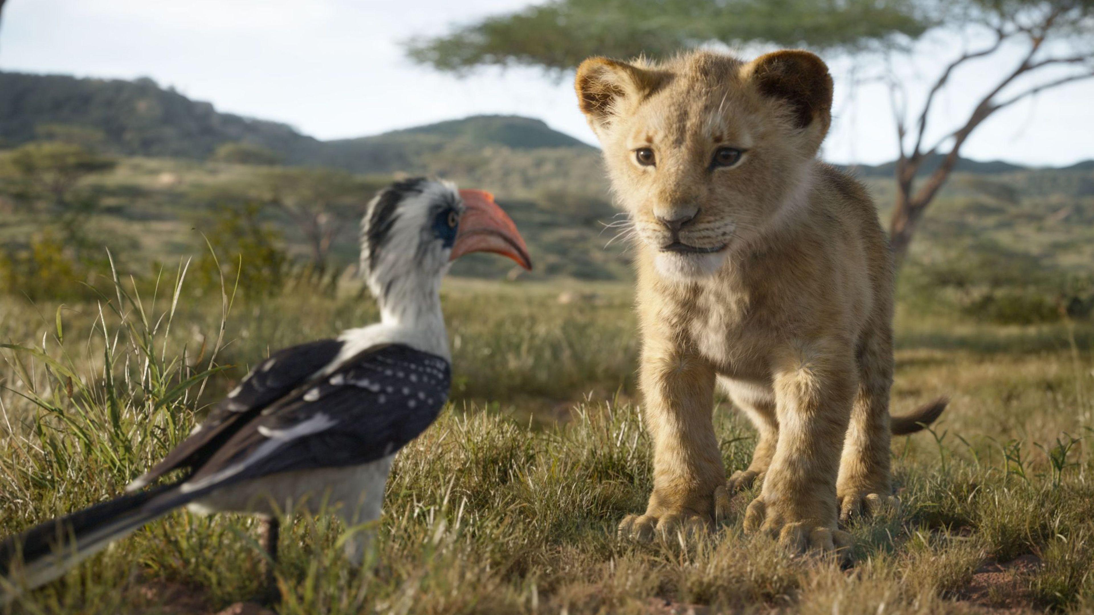3840x2160 The Lion King Simba 4k the lion king wallpaper, simba
