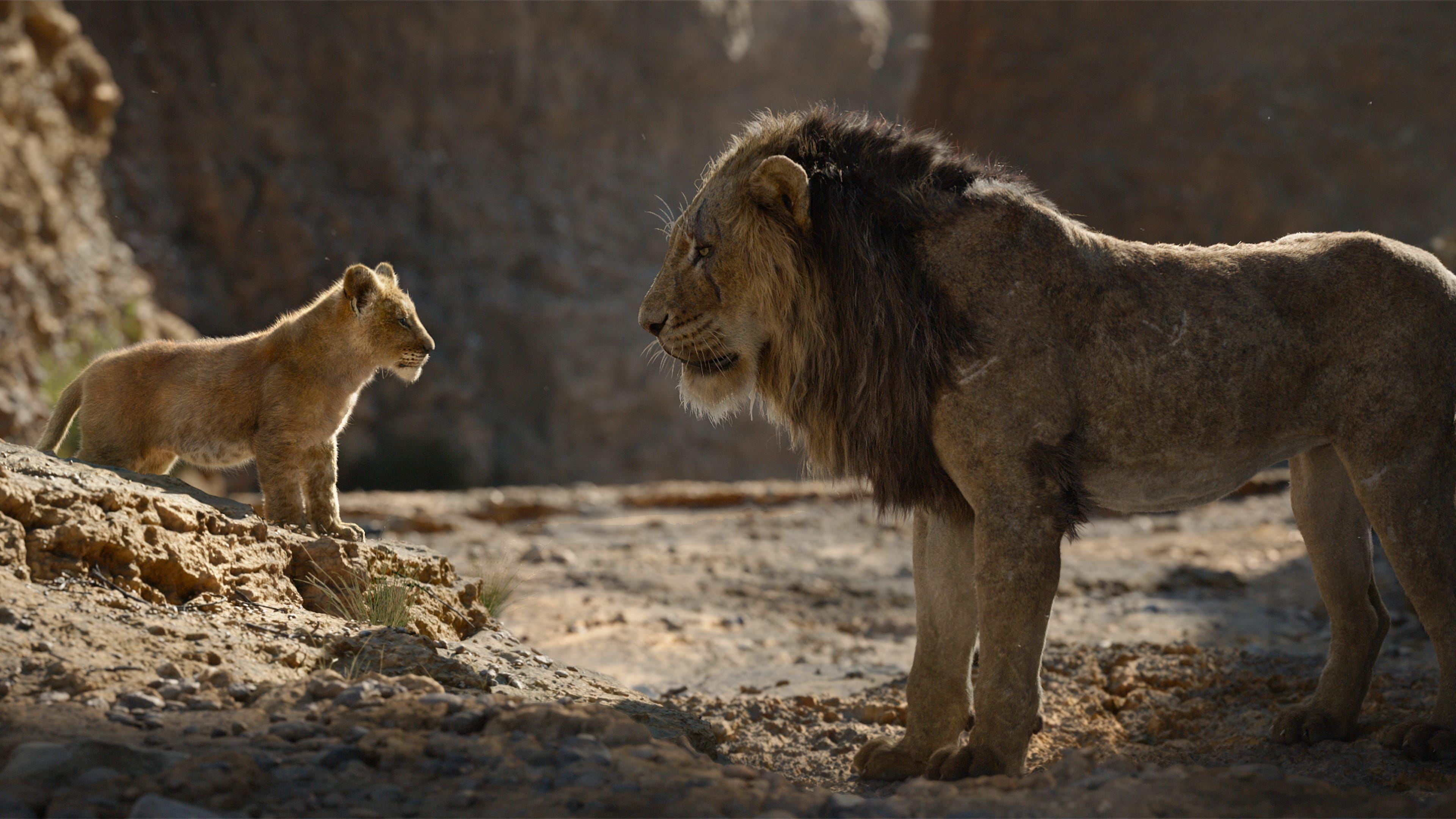 3840x2160 Wallpaper 4k Simba And Scar 2019 movies wallpaper, 4k