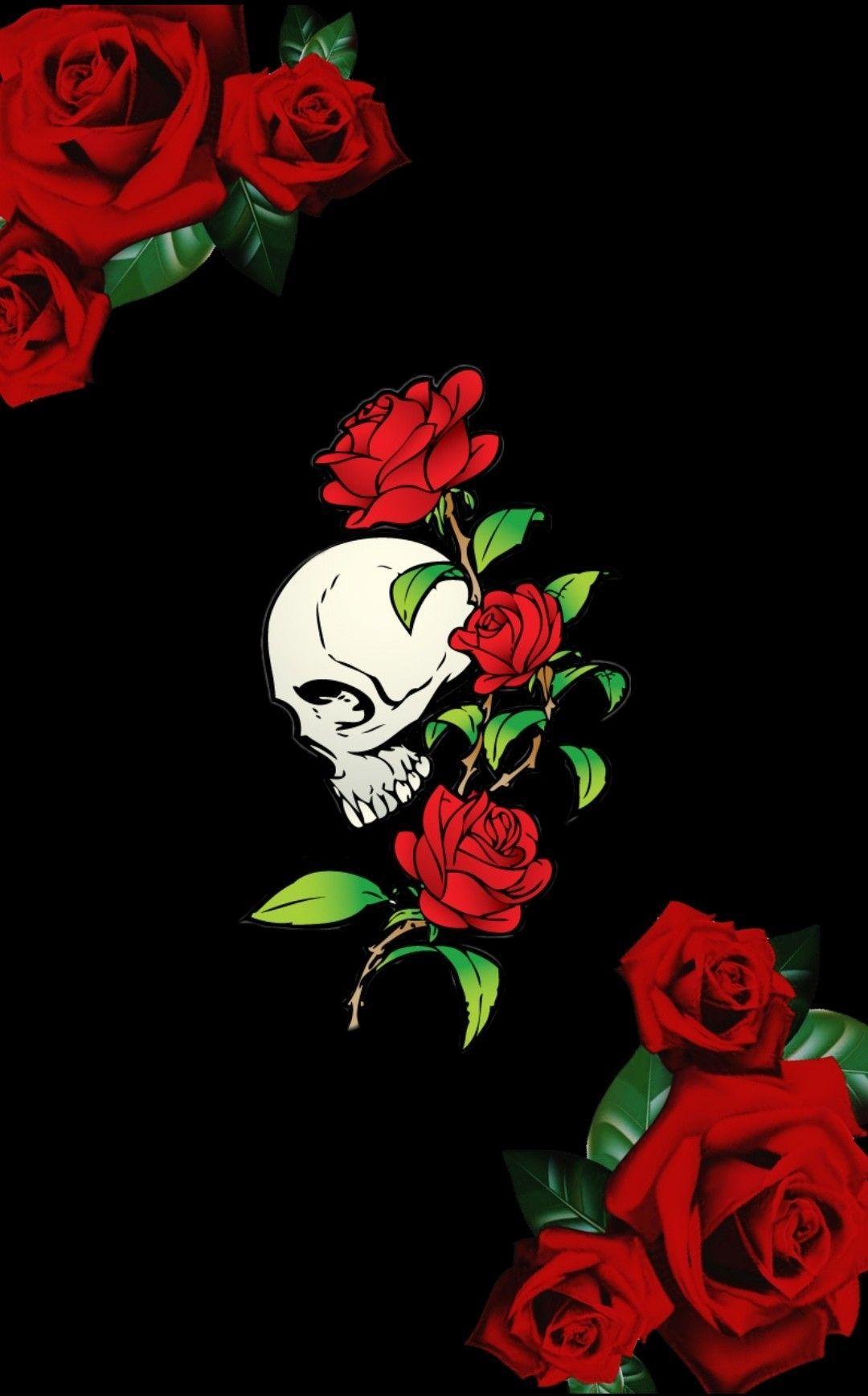 skulls and roses wallpaperTikTok Search