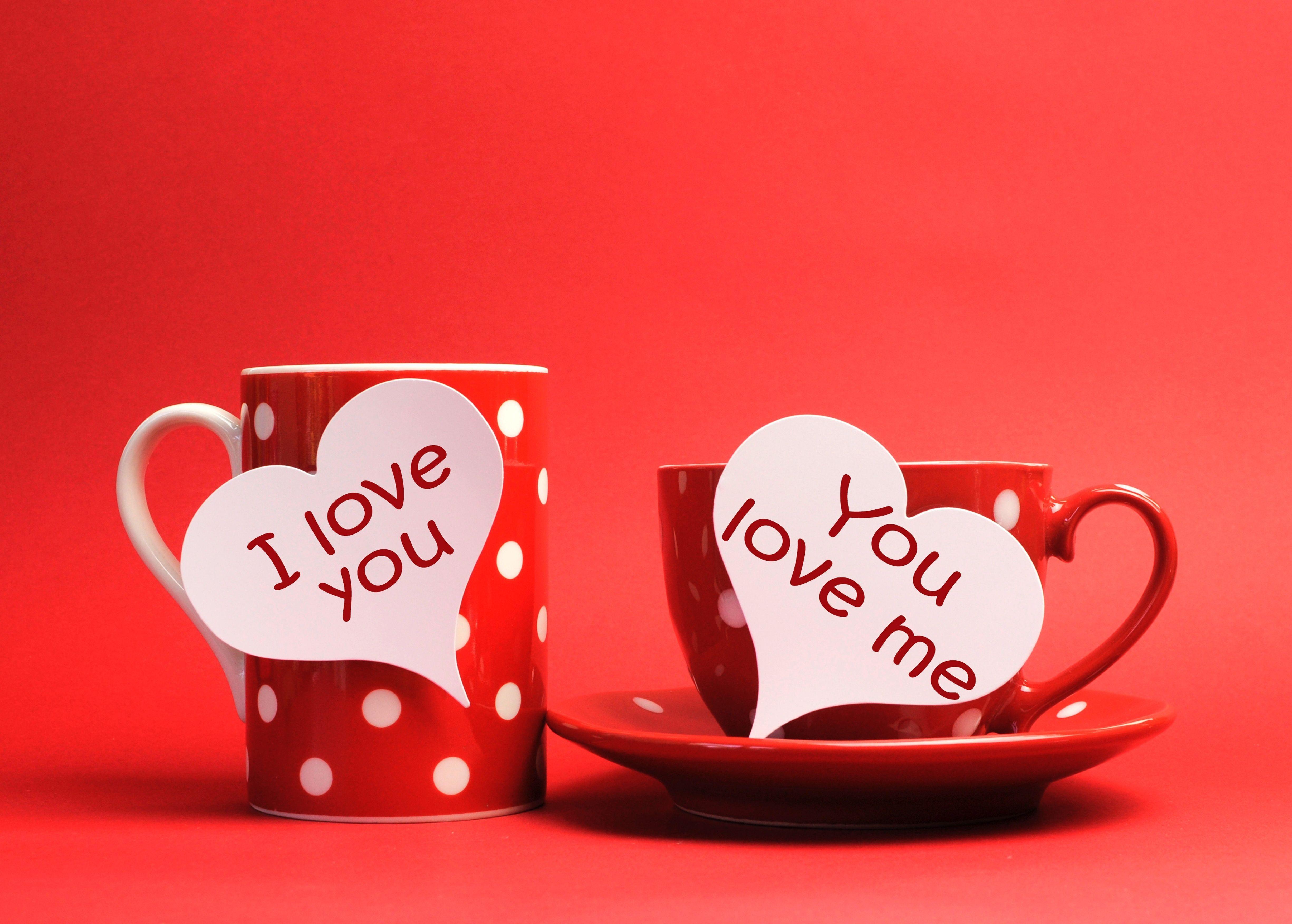 4900x3504 I Love U Wallpaper & Background