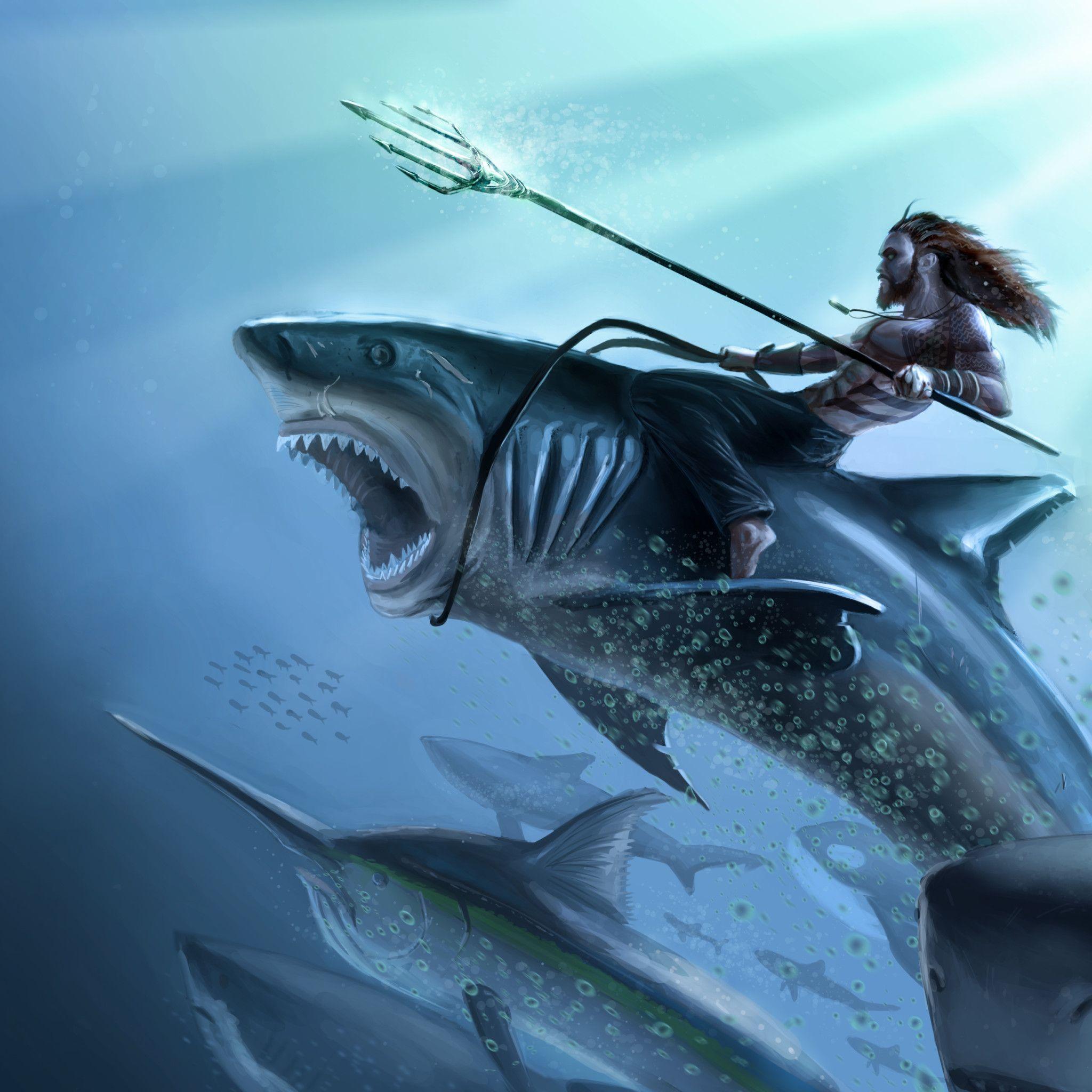 Shark Art Wallpapers - Top Free Shark Art Backgrounds - Wallpaperaccess