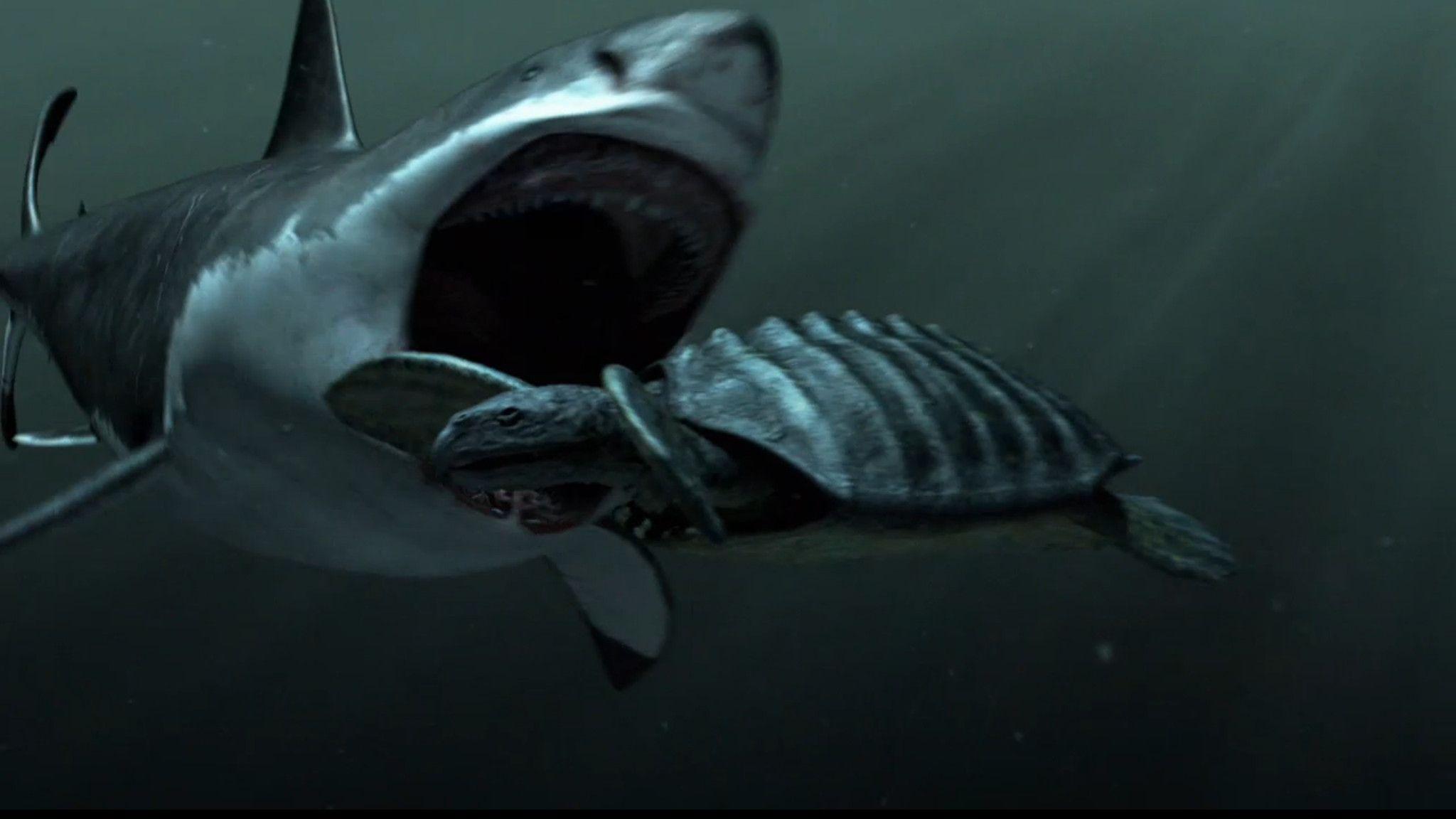 2048x1152 Megalodon Wallpaper