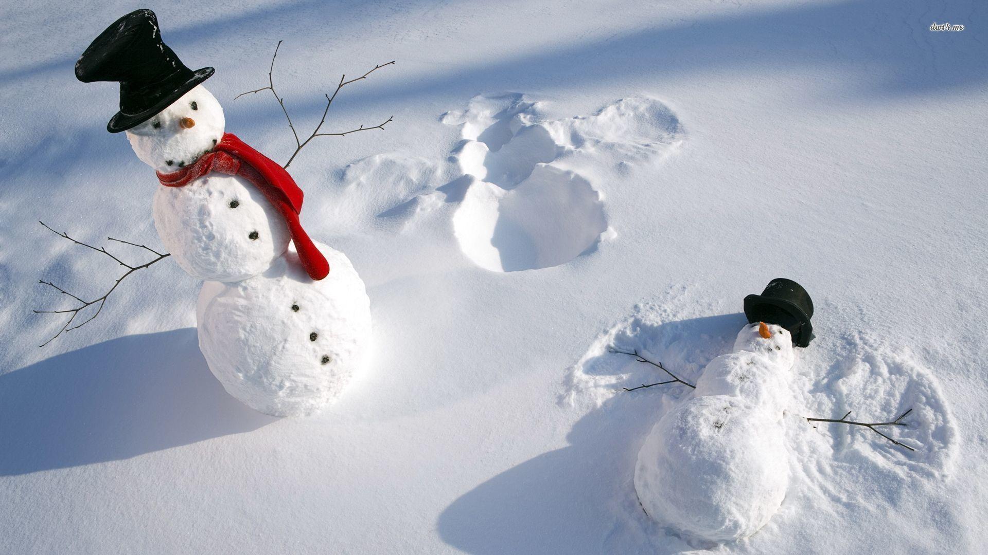 Funny Winter Wallpapers Top Free Funny Winter Backgrounds WallpaperAccess