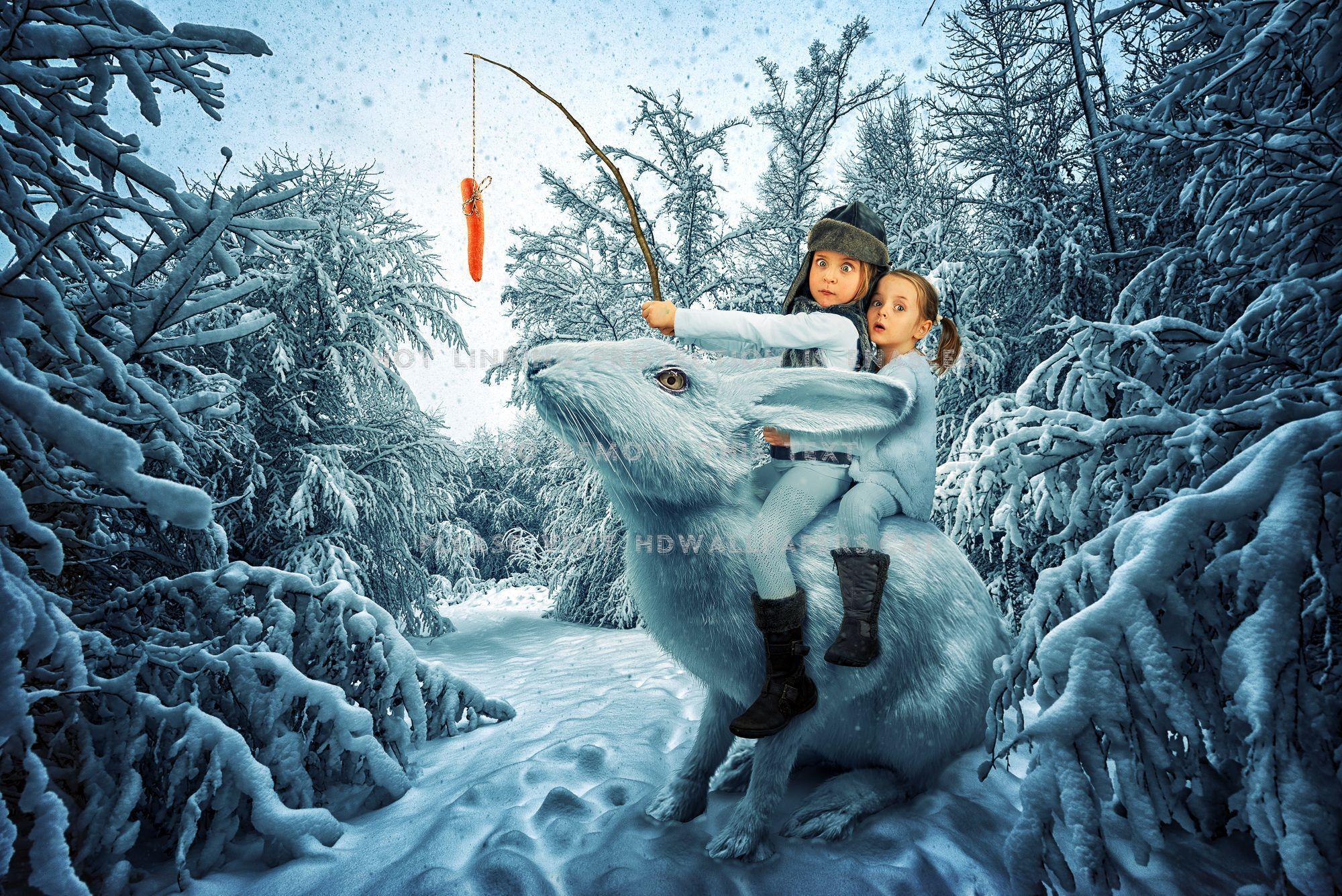 2000x1335 Download Funny Winter Wallpaper, HD Background Download