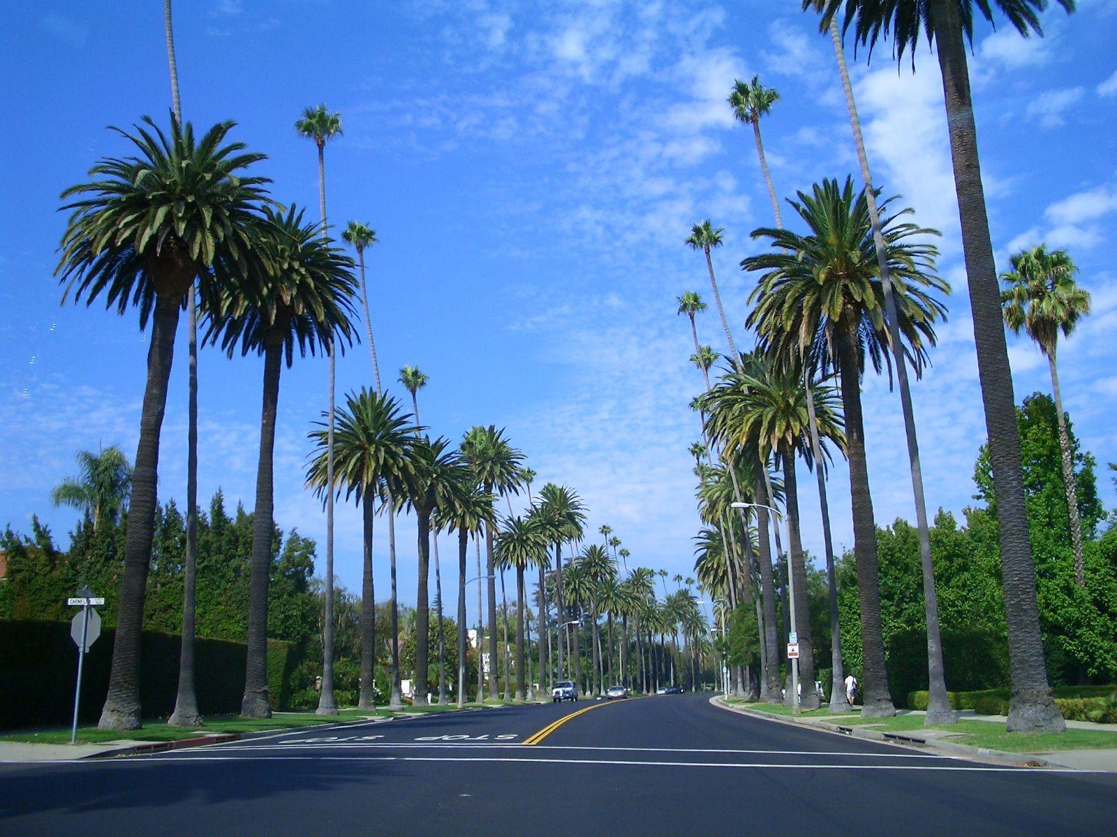 Beverly Hills Wallpapers - Top Free Beverly Hills Backgrounds