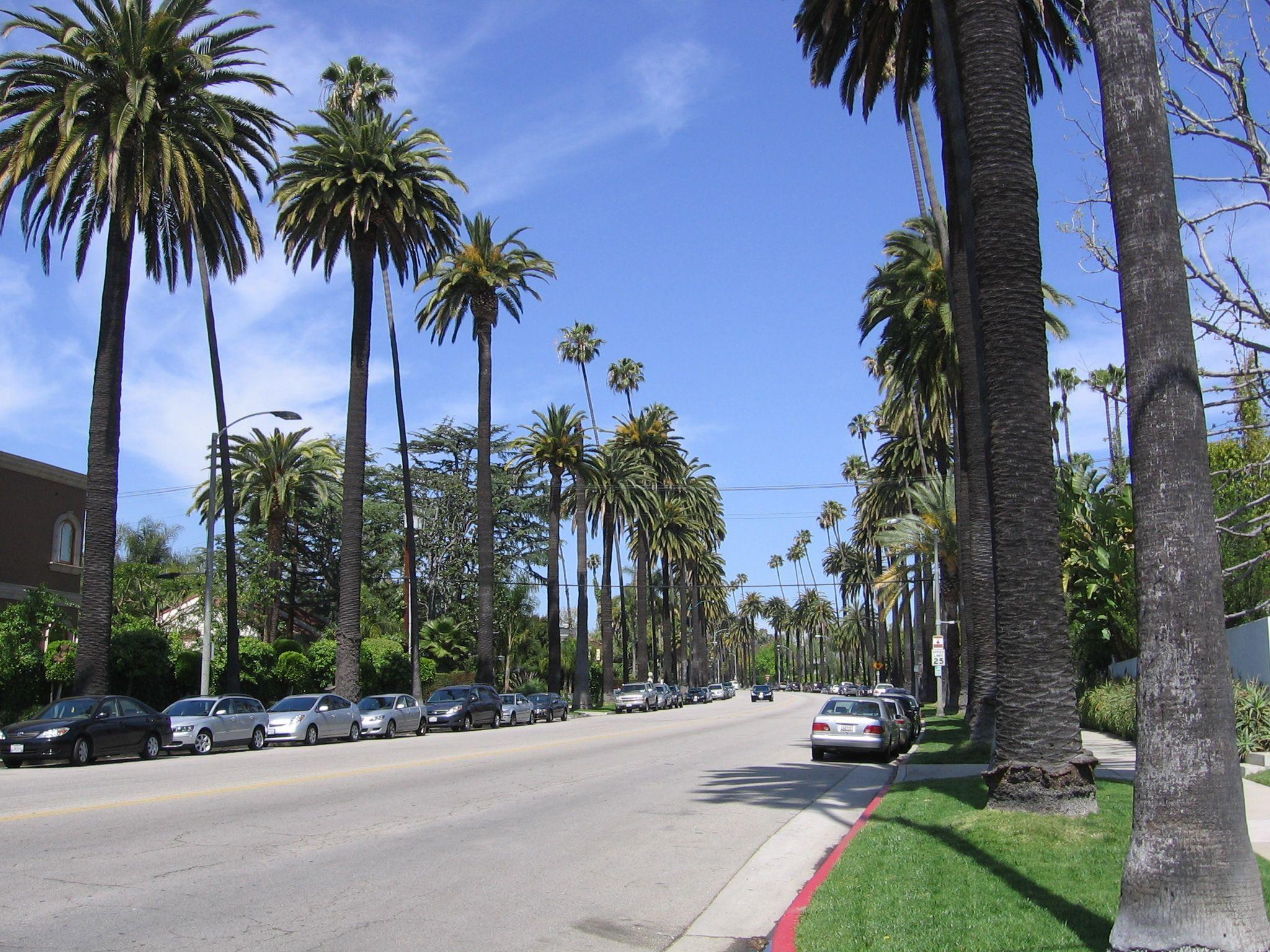 Beverly Hills Wallpapers - Top Free Beverly Hills Backgrounds