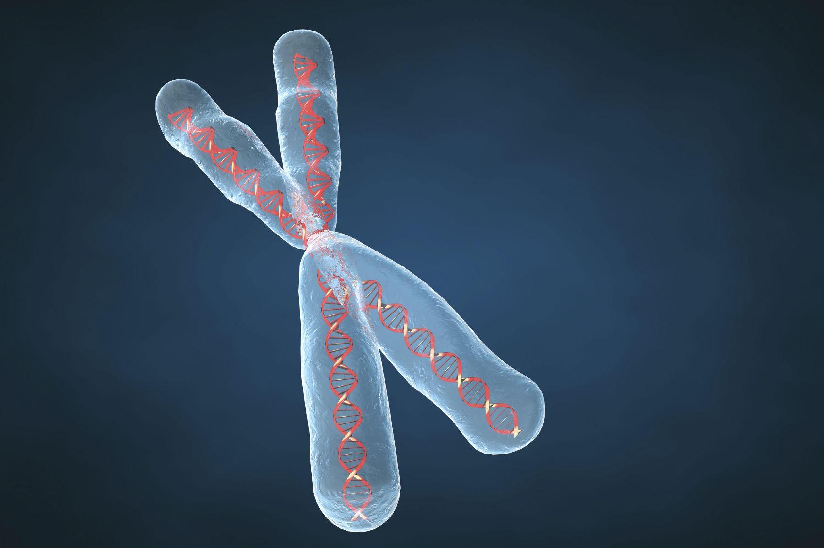 1698x1131 2100x2100px Genetic, 1075.25 KB, Tech, Jordan Habrin