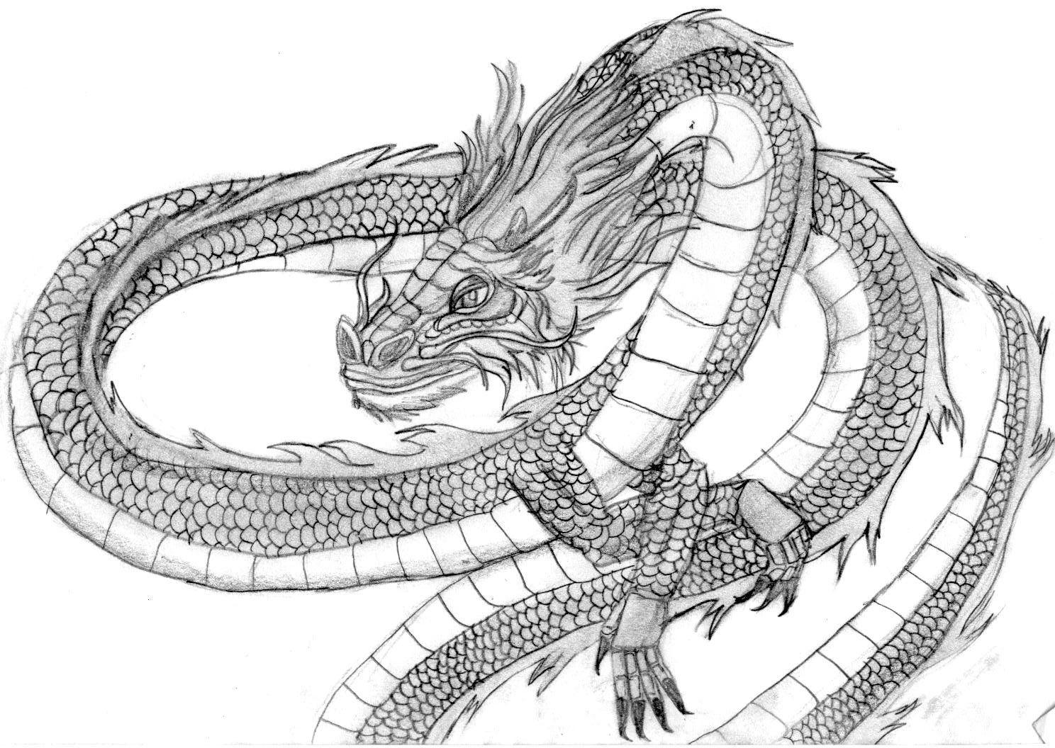 1488x1056 The Water Dragon By Devil Of Flames