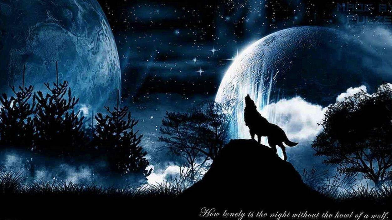 1252x704 Cool Wolf Background Moon Picture