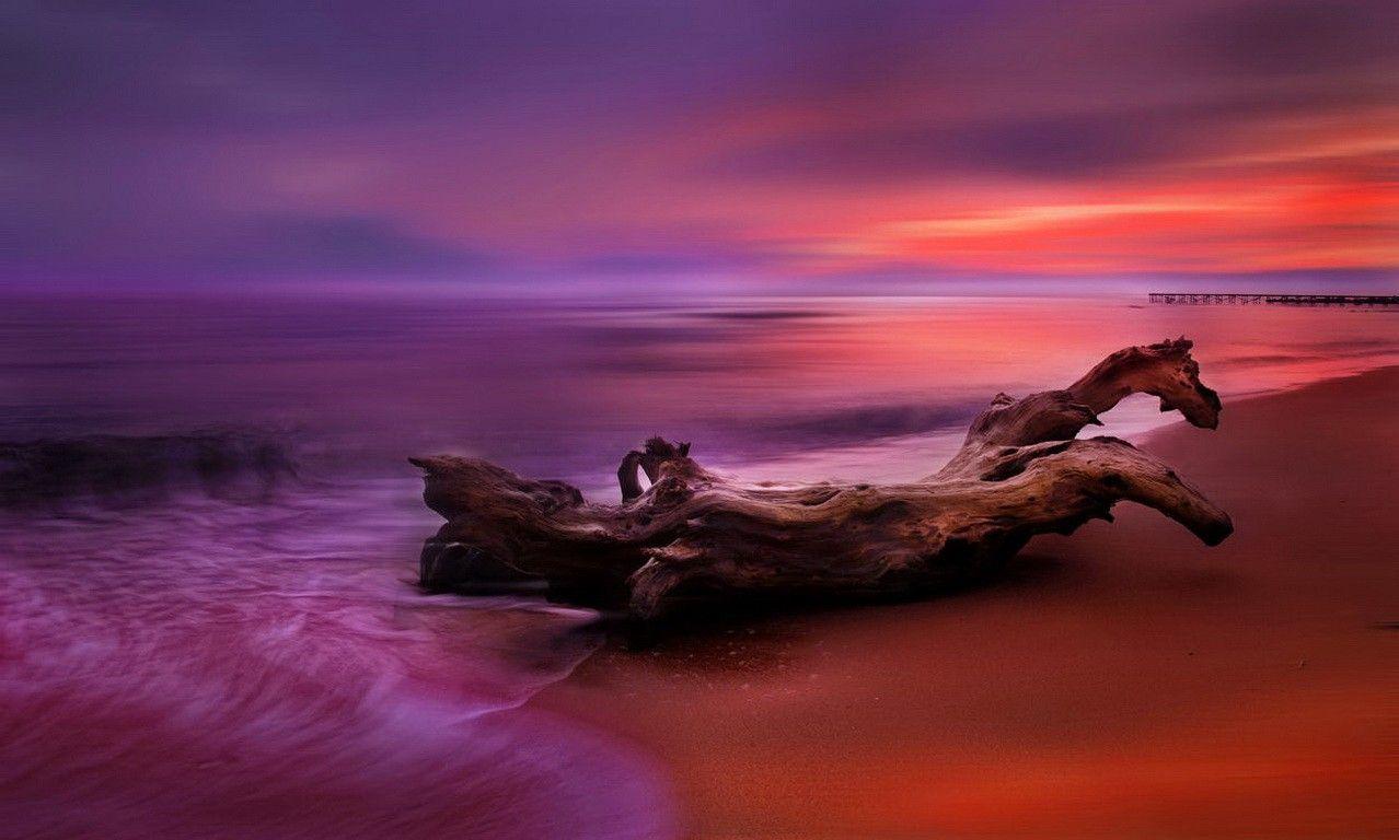 1278x768 Sunset: Sunset Sky Nice Purple Colorful Dragon Amazing Colors Wood