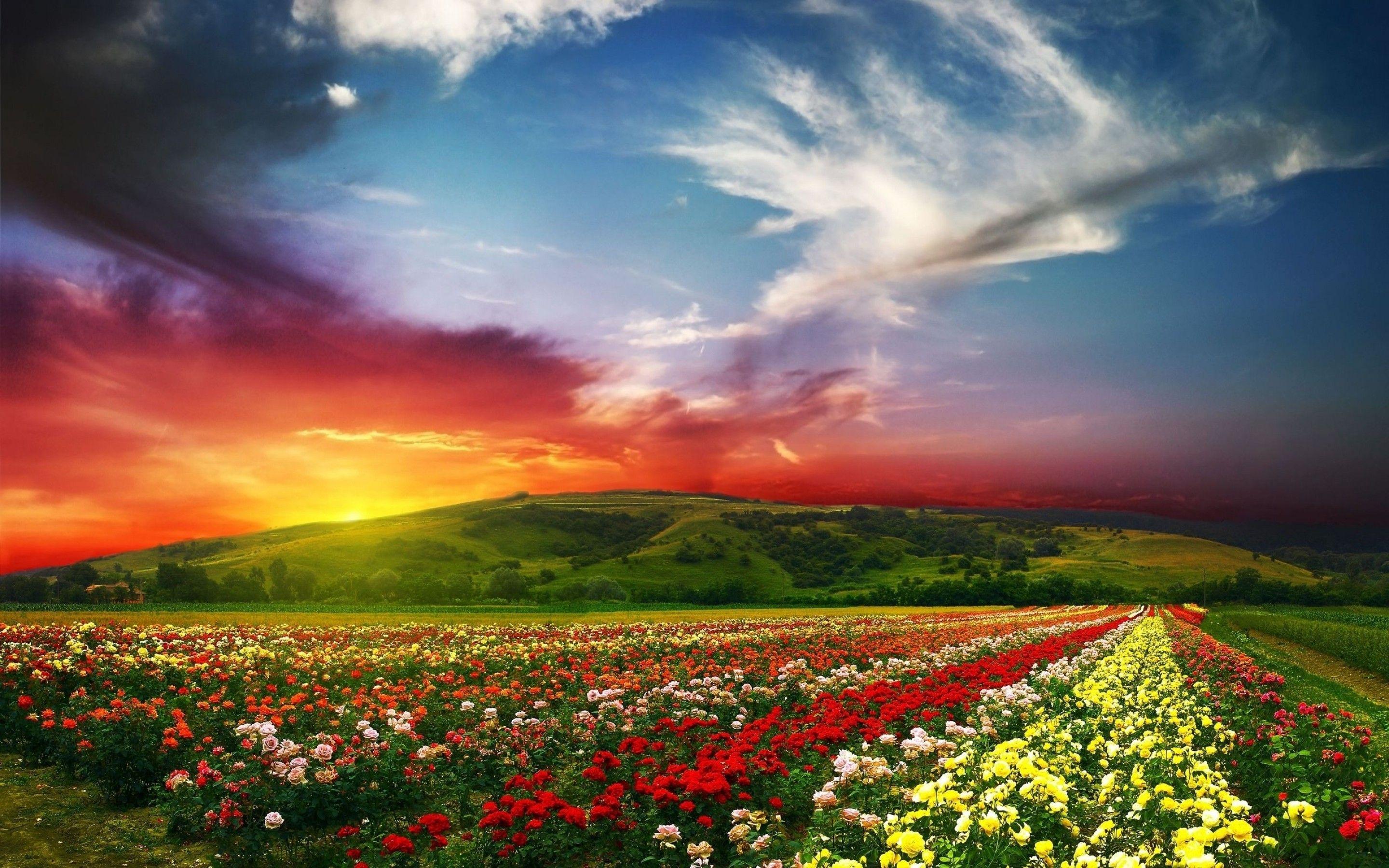 spring landscape desktop wallpaper