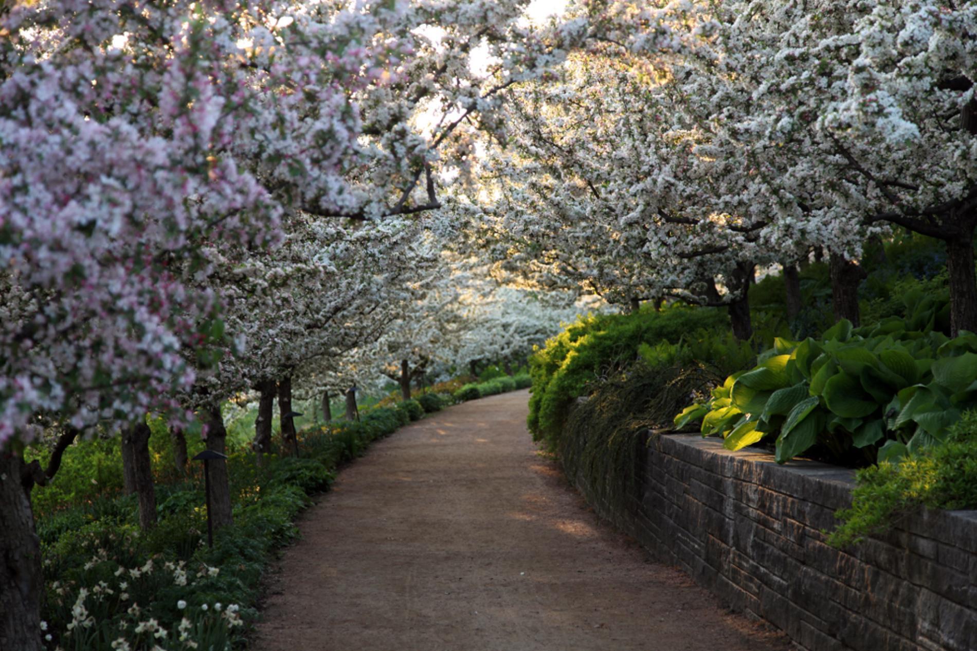 1900x1266 Spring Photo