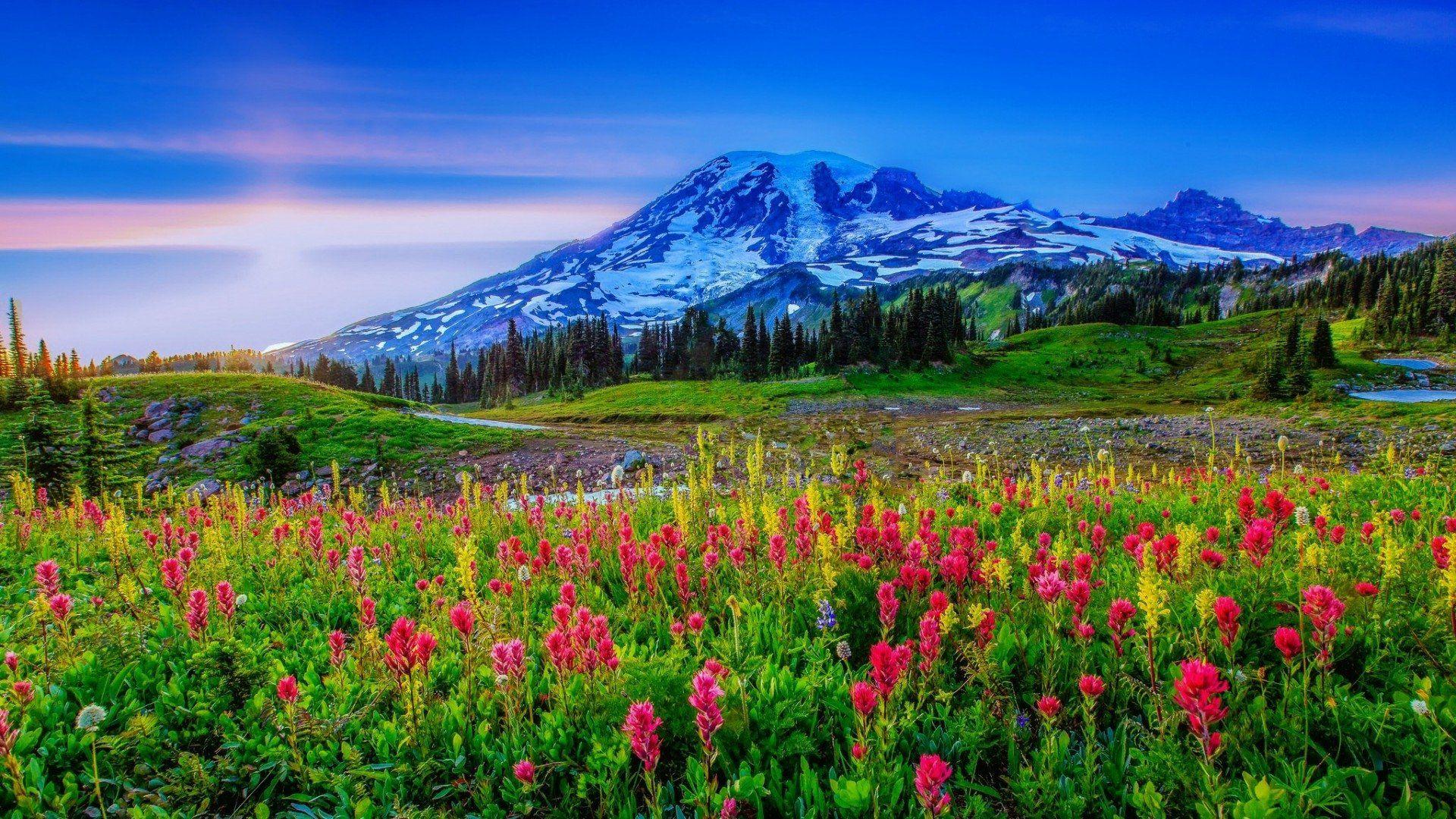 1920x1080 Spring Landscape HD Wallpaper. Background Imagex1080