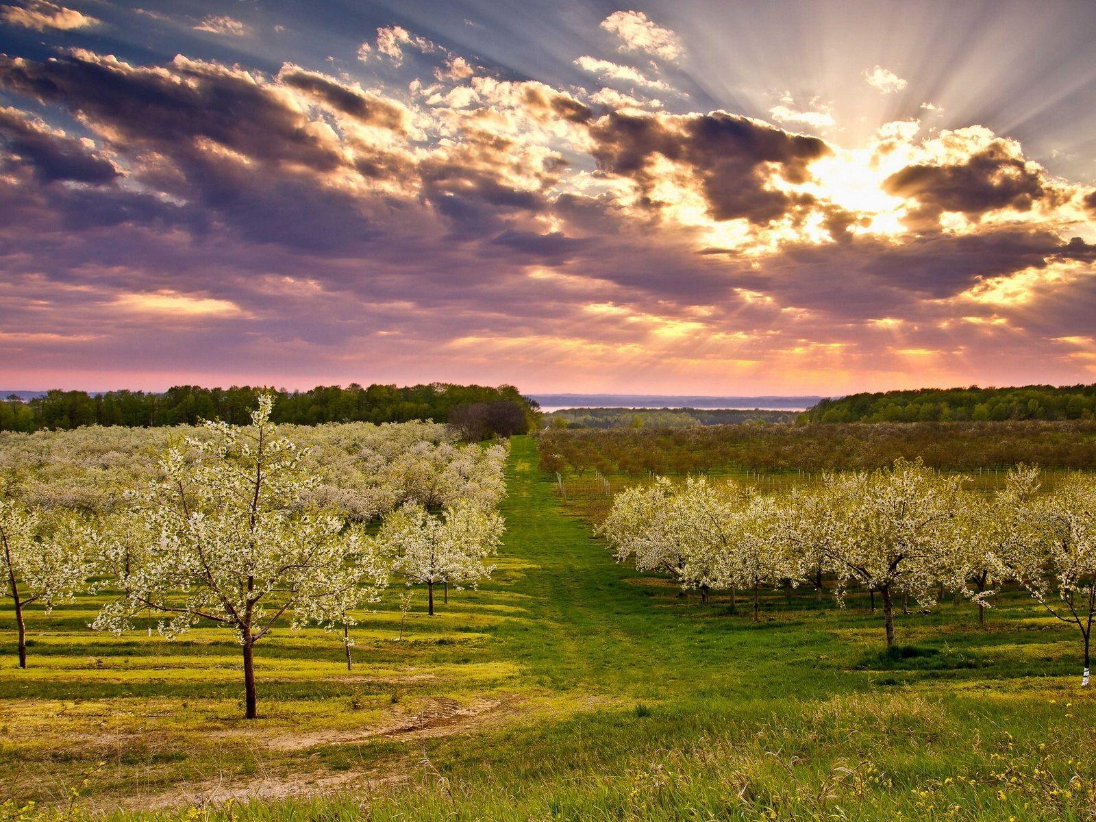 Spring Landscape Wallpapers - Top Free Spring Landscape Backgrounds