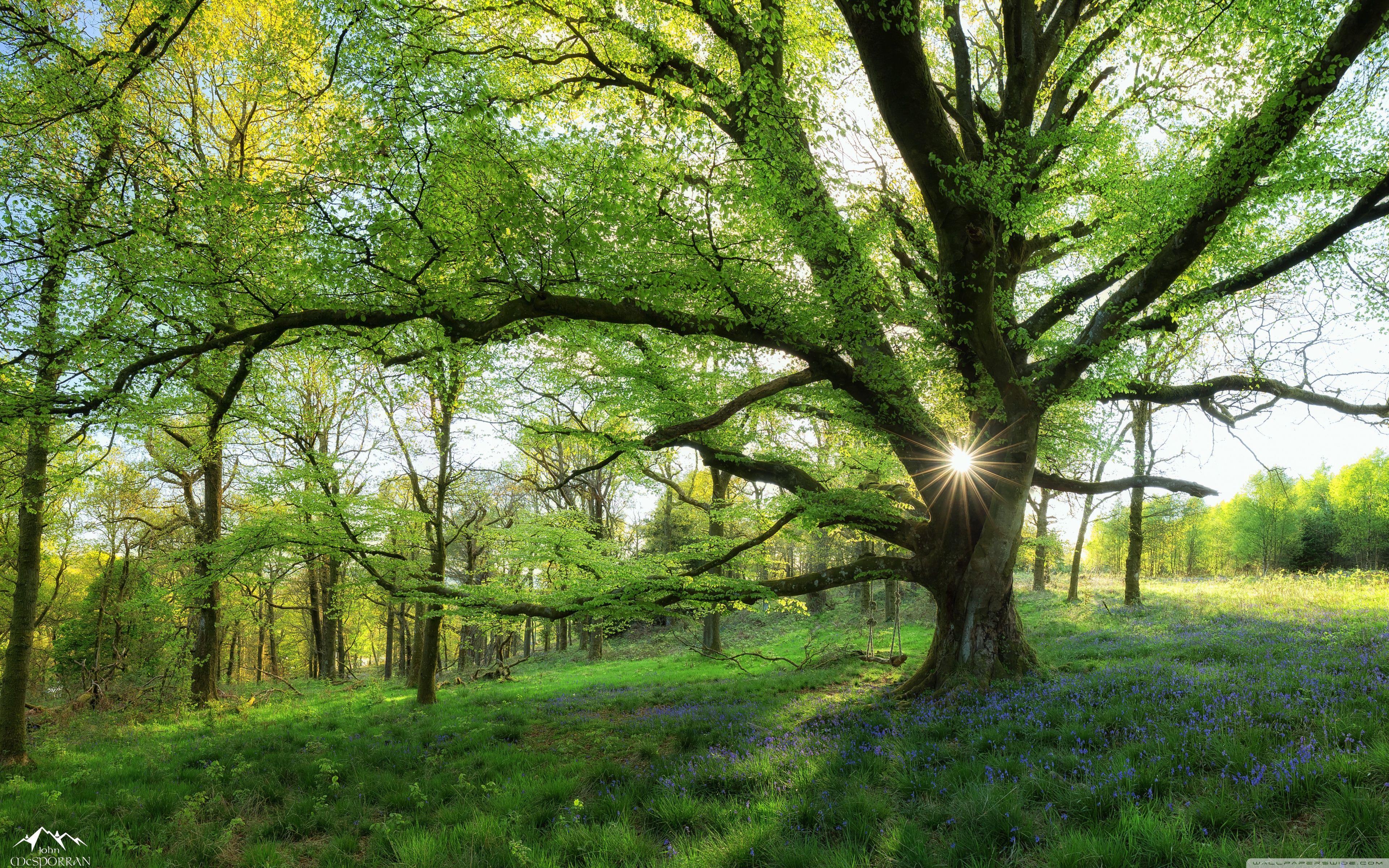 3840x2400 Most Beautiful Spring Landscapes On Earth Ultra HD Desktop