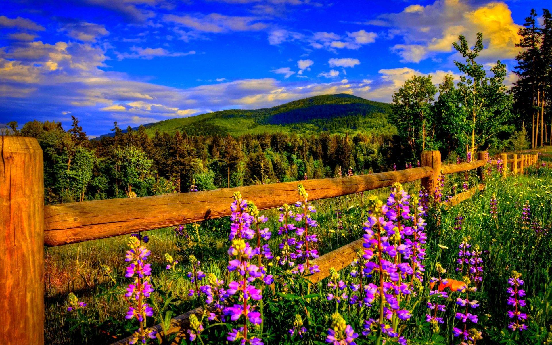 1920x1200 Early Spring HD Wallpaper