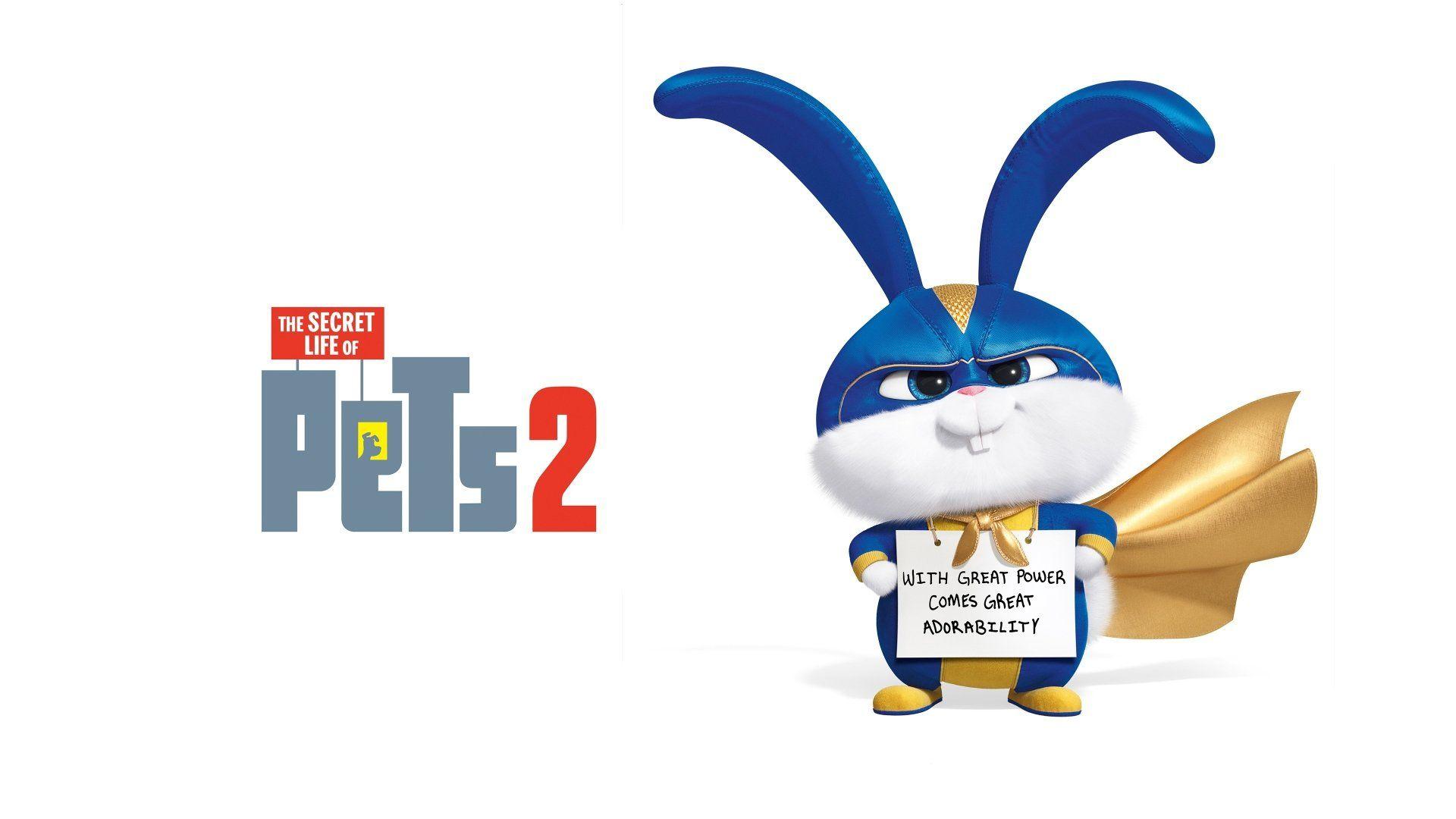1920x1080 4K Ultra HD The Secret Life of Pets 2 Wallpaper