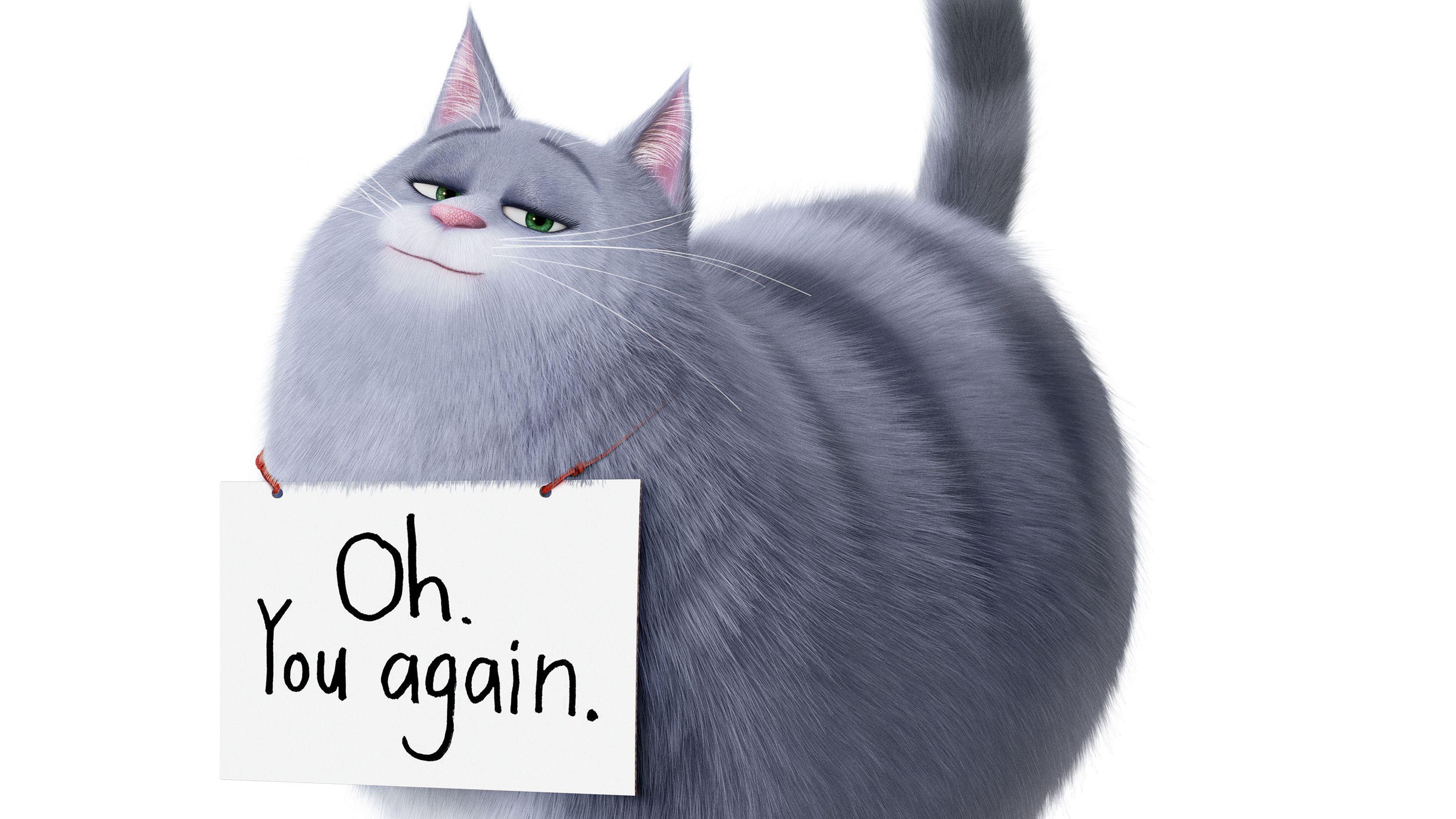 3158x1776 Chloe The Secret Life Of Pets HD Movies, 4k Wallpaper