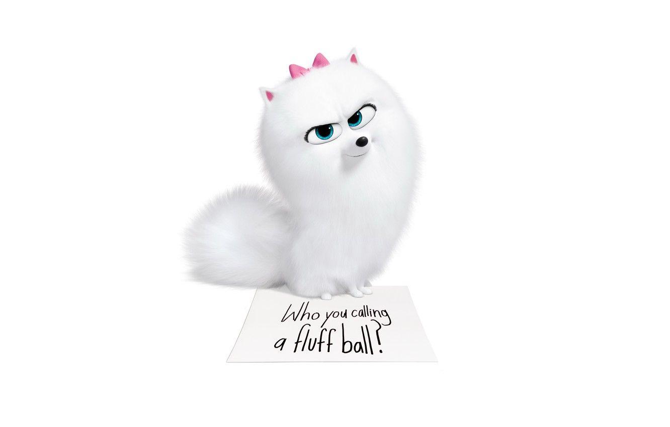1332x850 Wallpaper dog, bows, The secret life of Pets The Secret