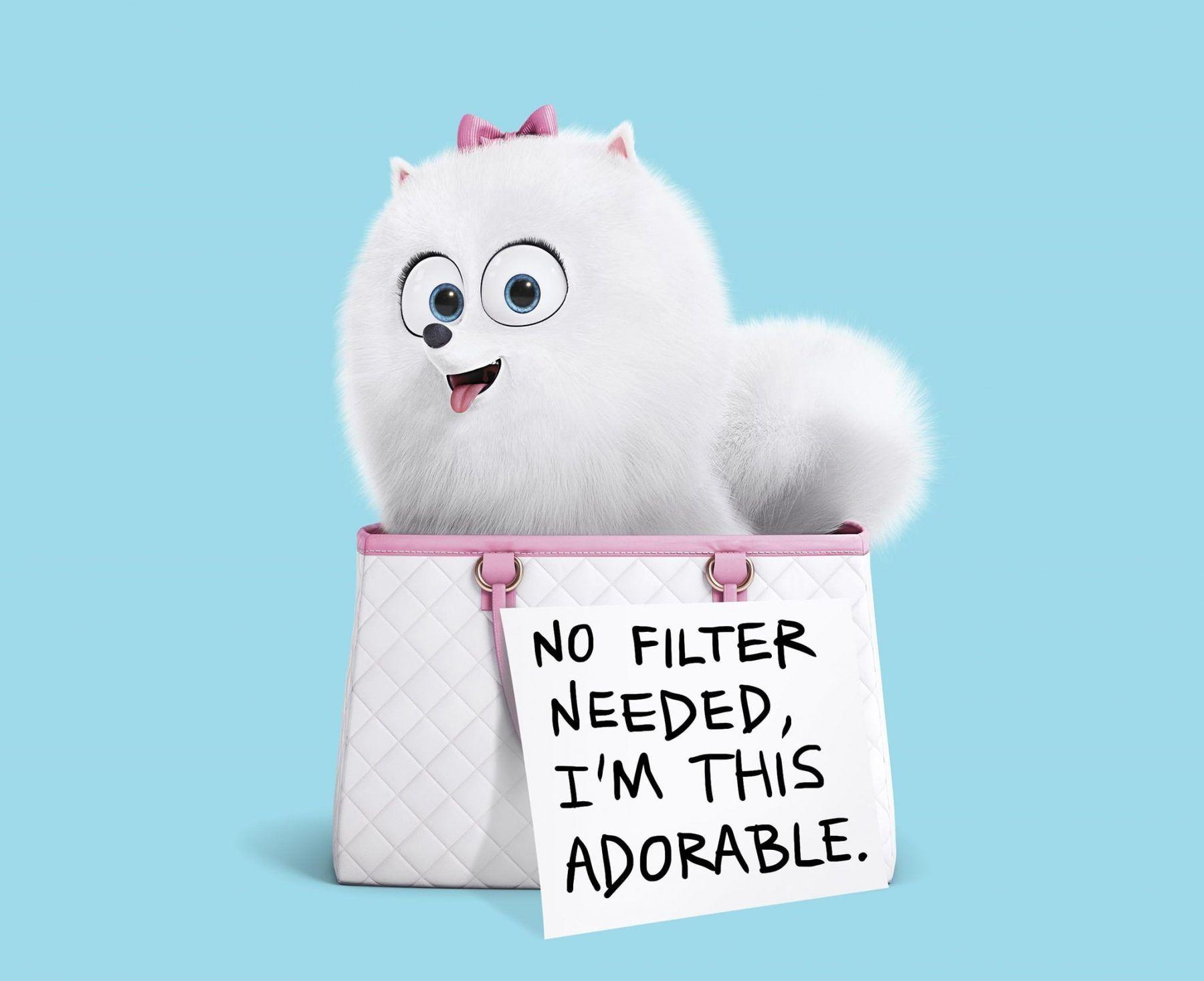 1800x1467 The Secret Life of Pets 2 HD