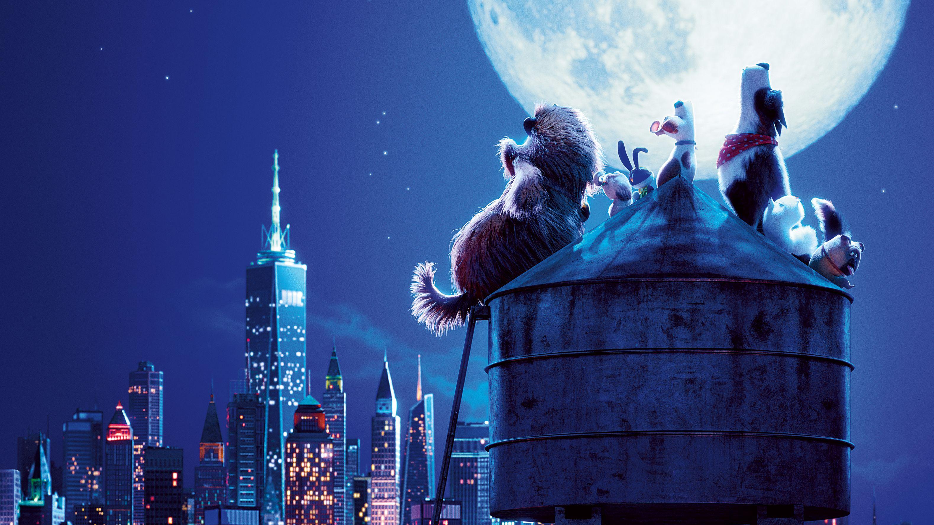 3158x1776 The Secret Life Of Pets 2 1024x1204 Resolution HD
