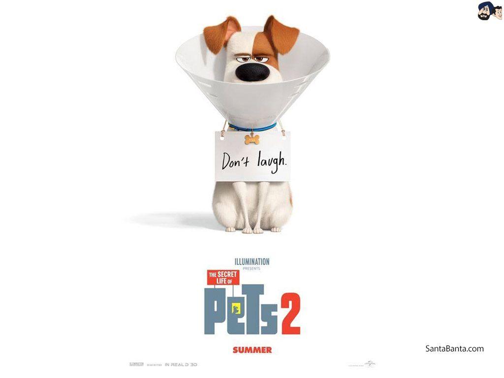 1024x768 The Secret Life of Pets 2 Movie Wallpaper