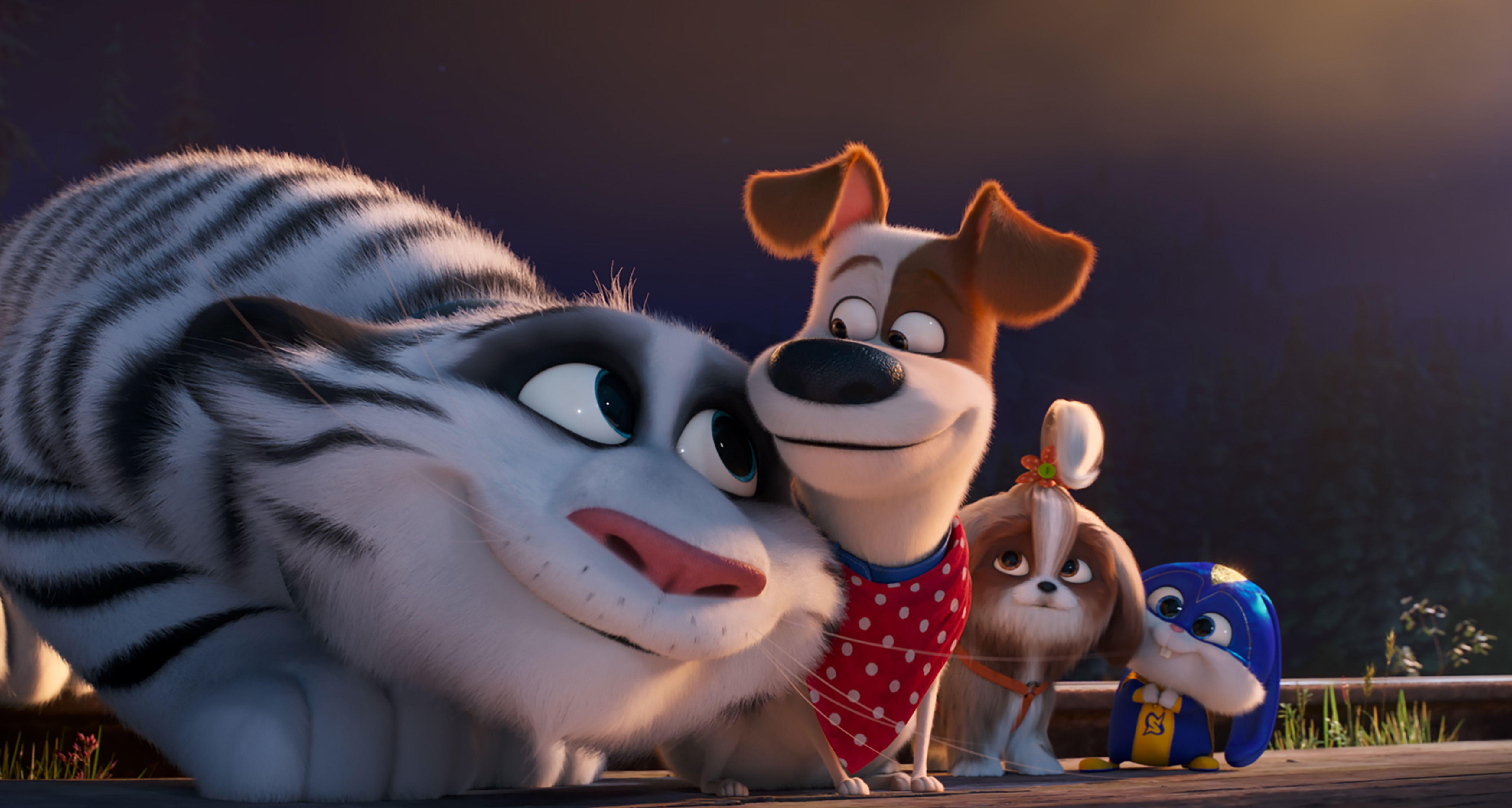 5000x2671 The Secret Life of Pets 2 4k Ultra HD Wallpaper. Background