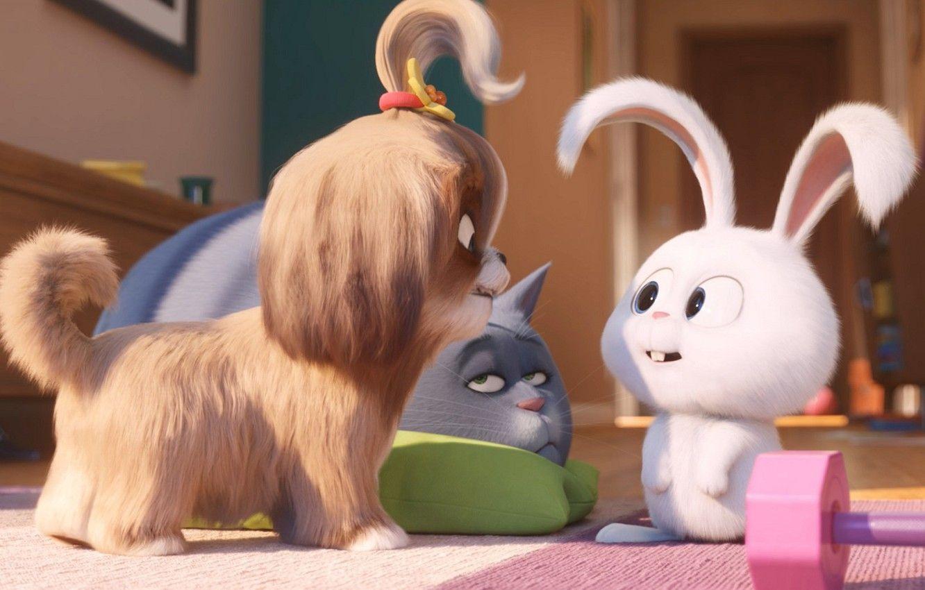 1332x850 Wallpaper cat, rabbit, puppy, The secret life of Pets