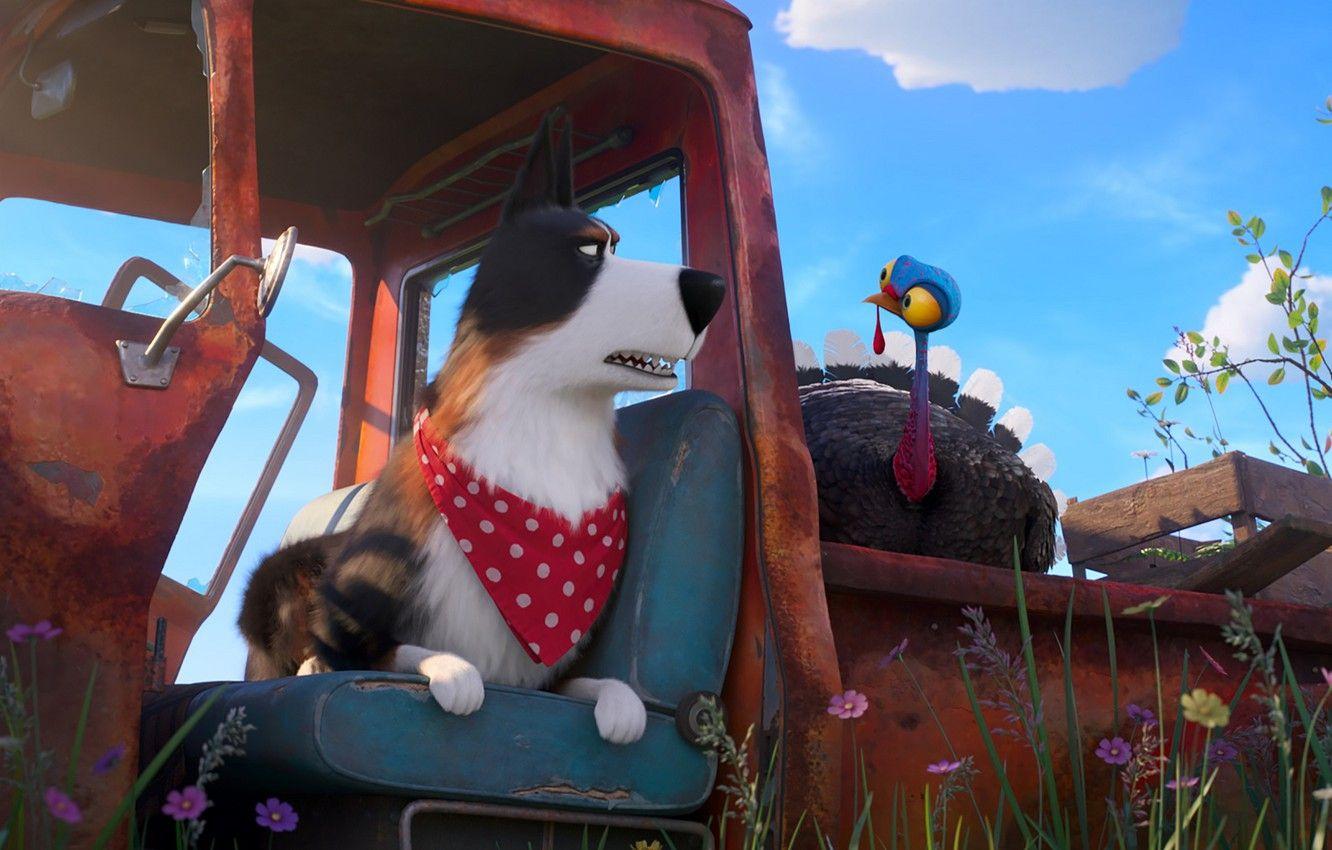1332x850 Wallpaper dog, Turkey, The secret life of Pets The Secret