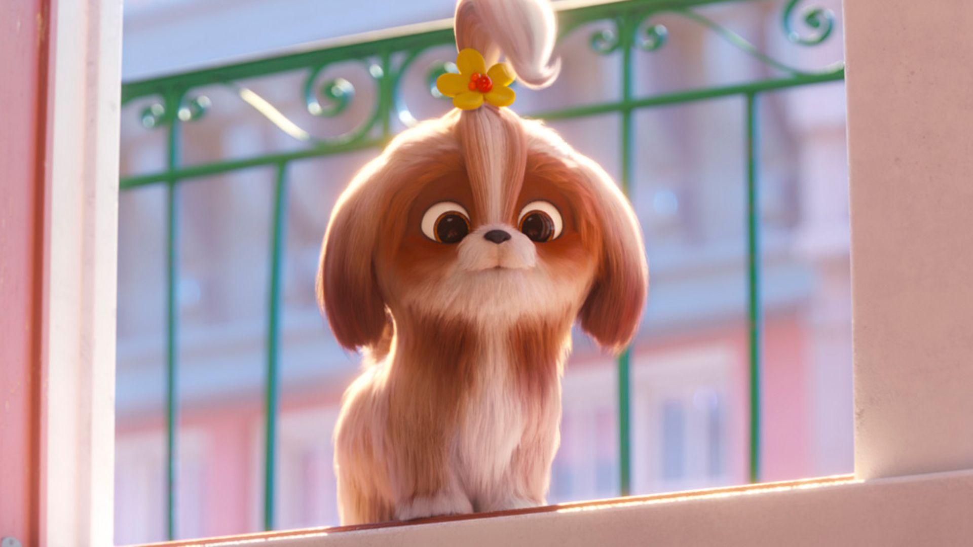 The Secret Life Of Pets 2 Wallpapers - Top Free The Secret Life Of Pets ...