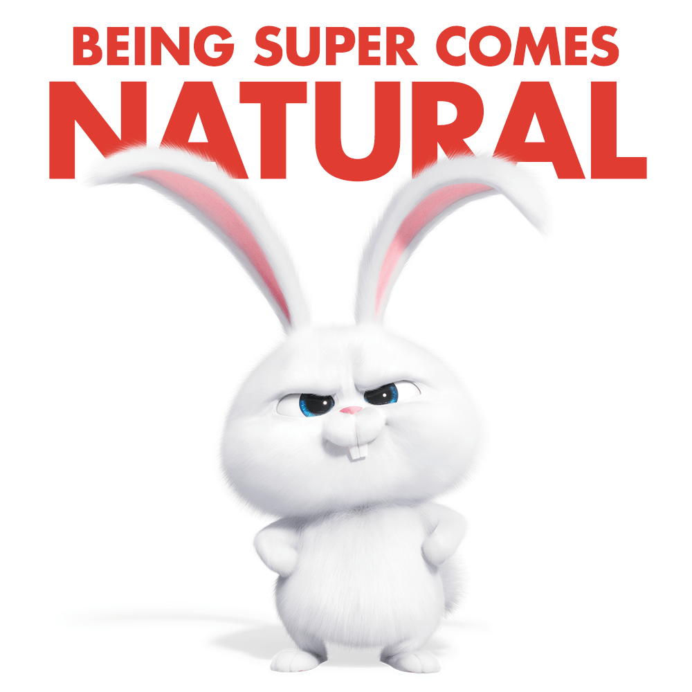 1000x1000 The pets return this summer in the new movie The Secret Life
