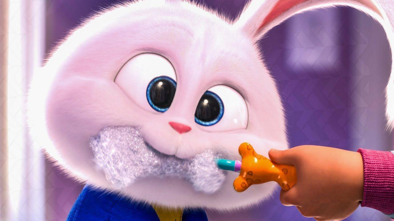 1280x720 THE SECRET LIFE OF PETS 2 Minute (2019) in 2019