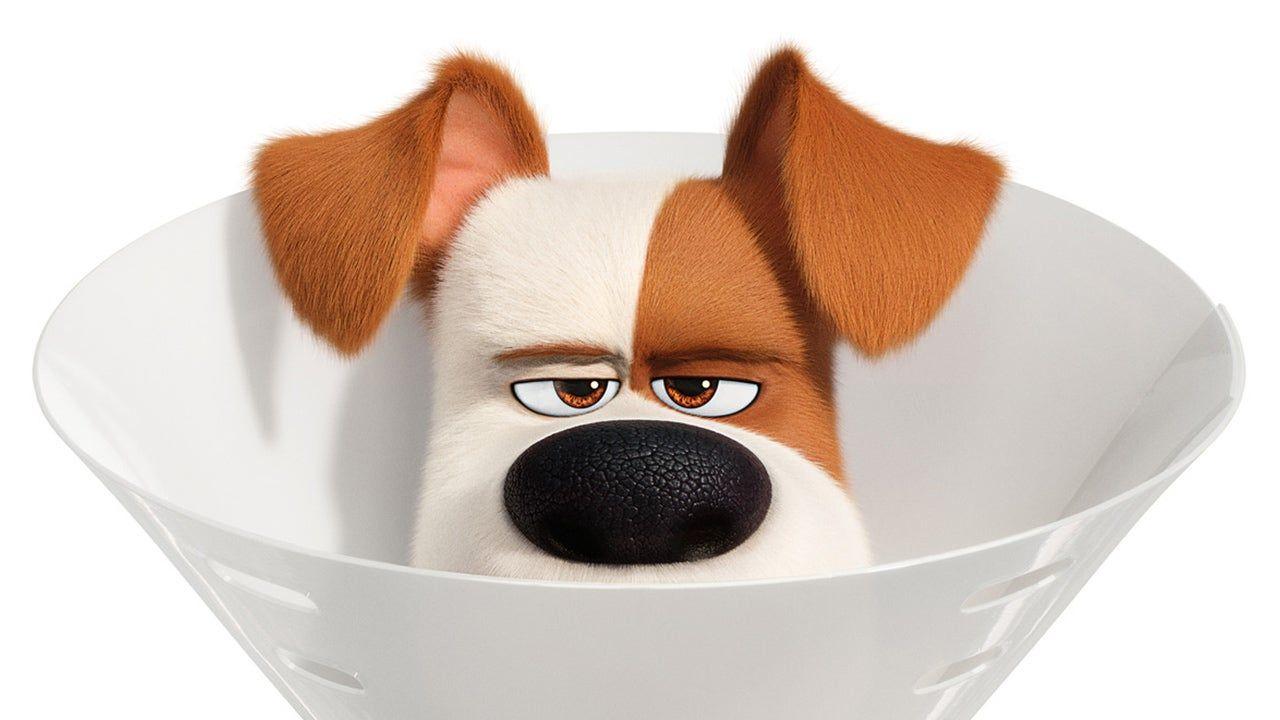 1280x720 The Secret Life of Pets 2 Review