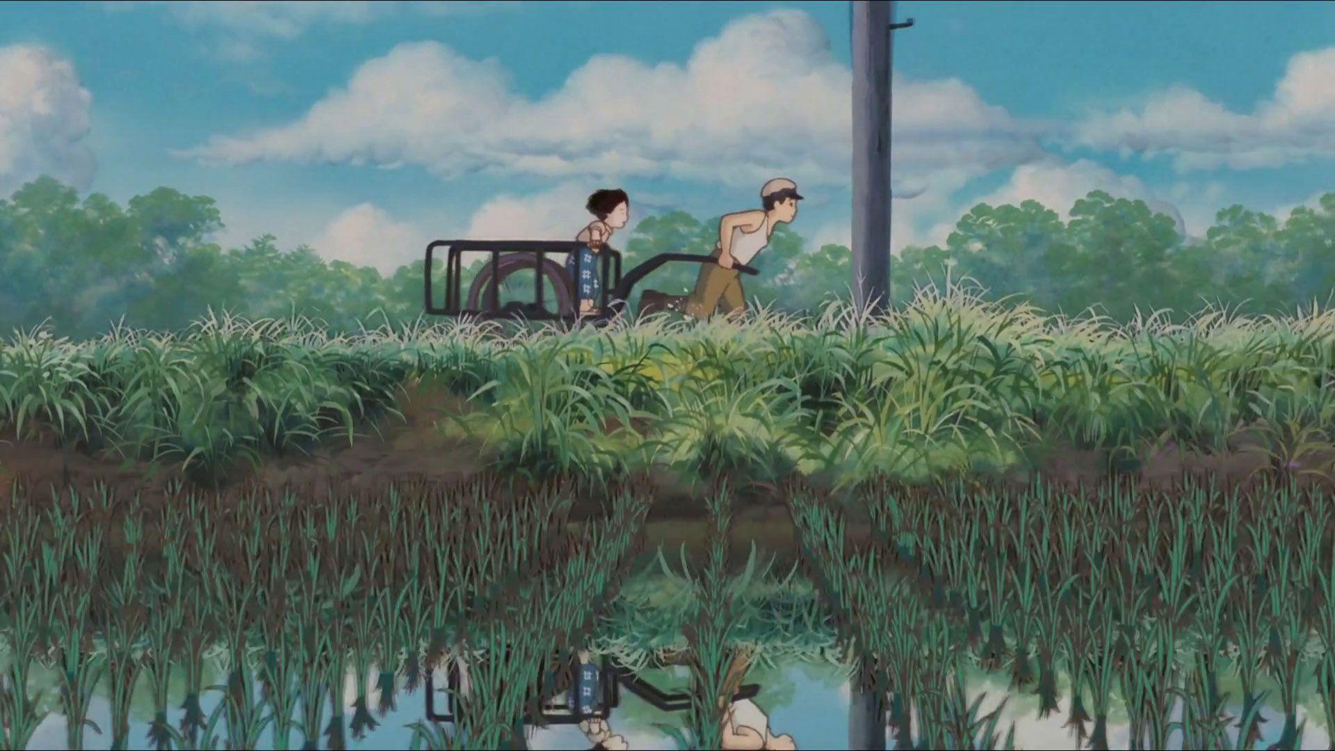 1920x1080 Heartbreaking Fireflies