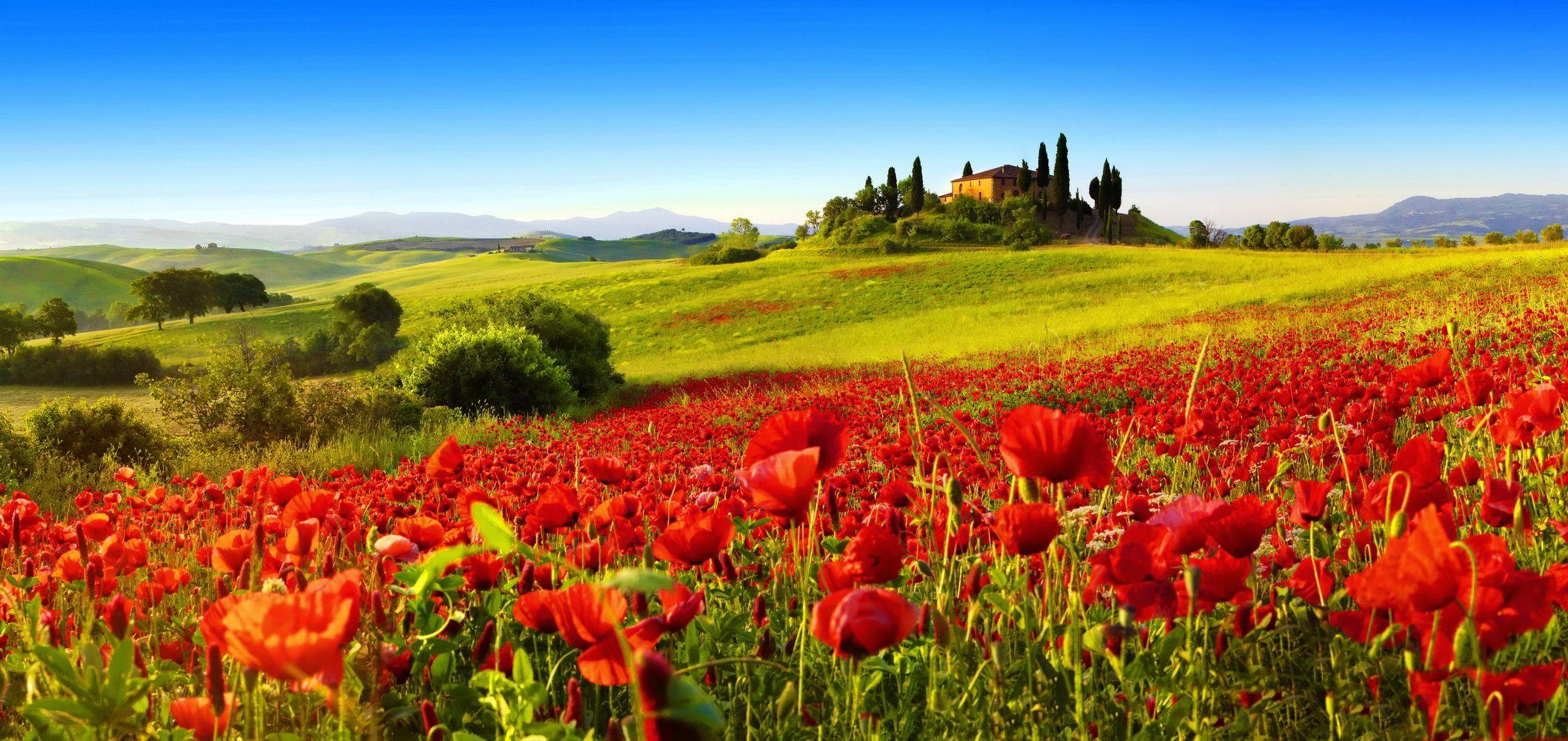 2117x1000 Toscana Wallpaper & Background Download