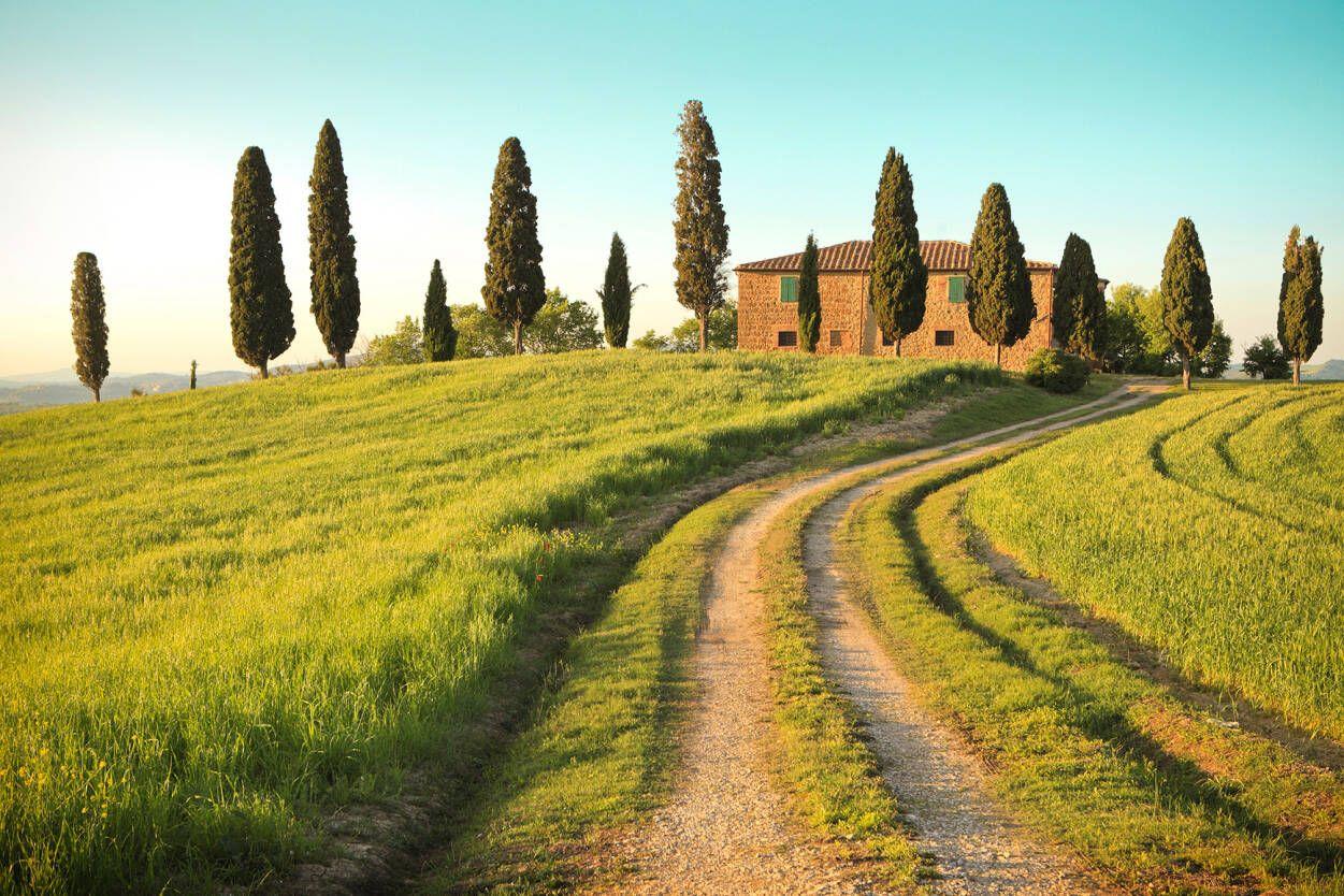 1251x834 Livingwalls Photo wallpaper «Toscana Summer» 470311